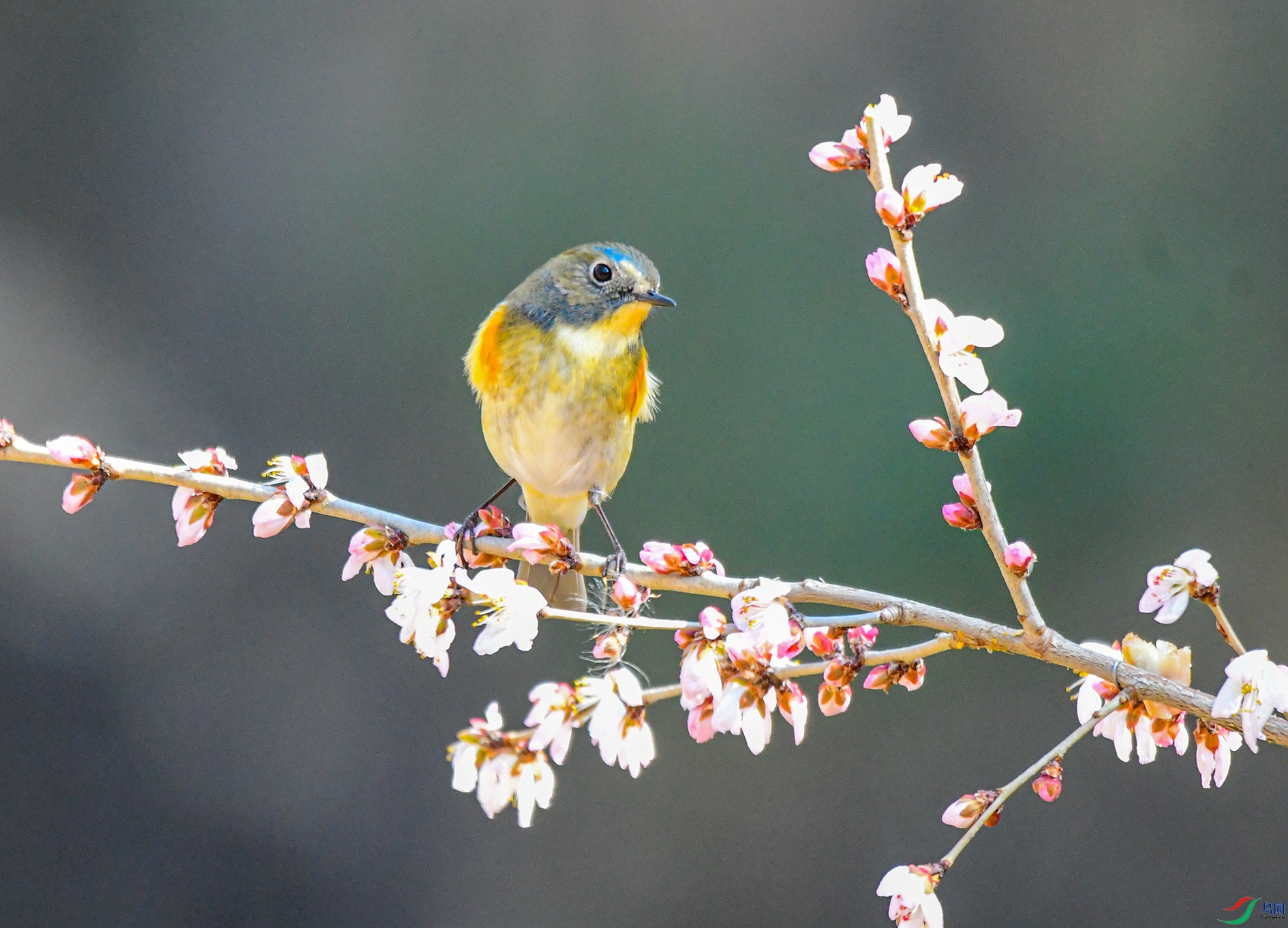 DSC_9470_��ͼ�� ����.jpg