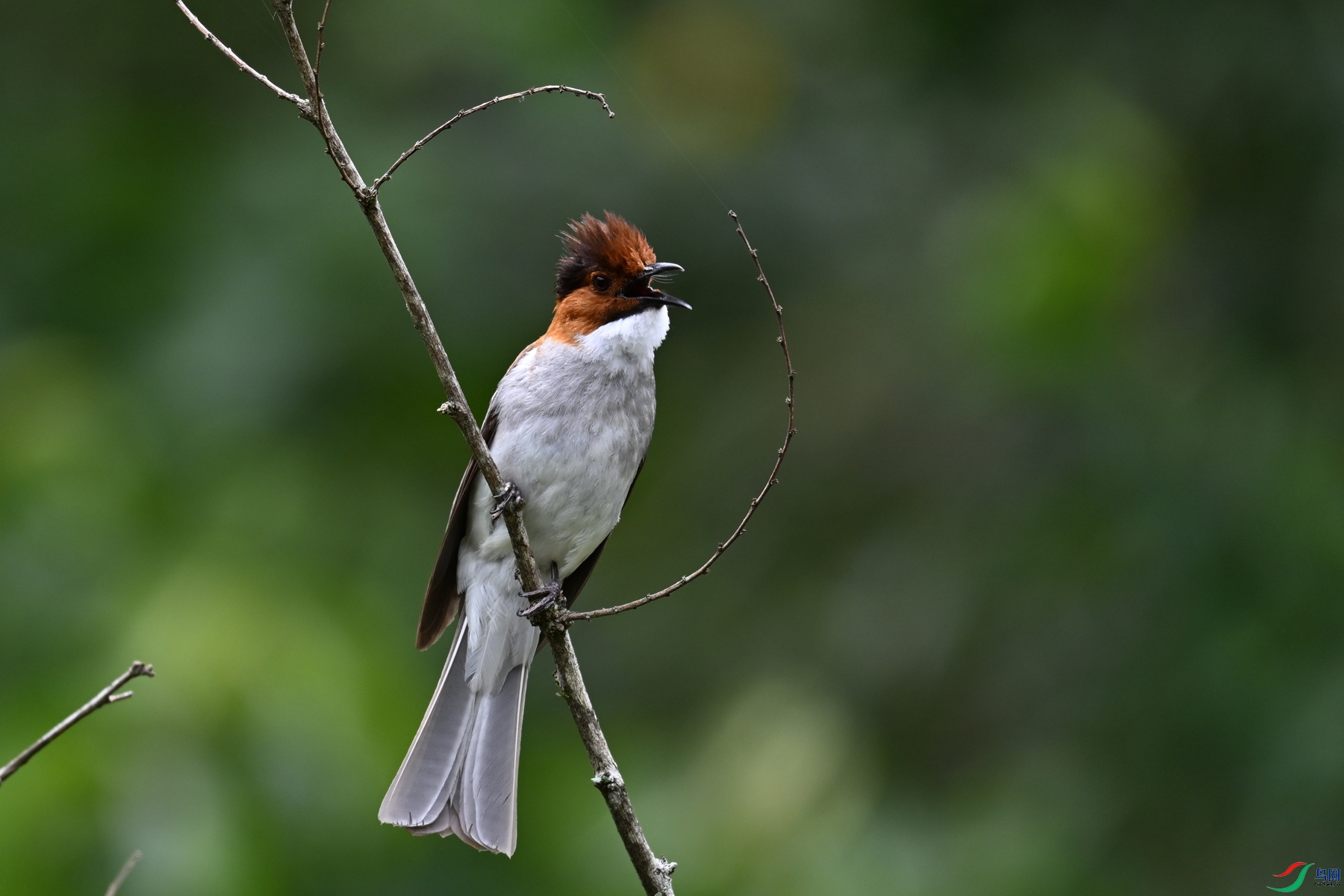 DSC_3321.JPG