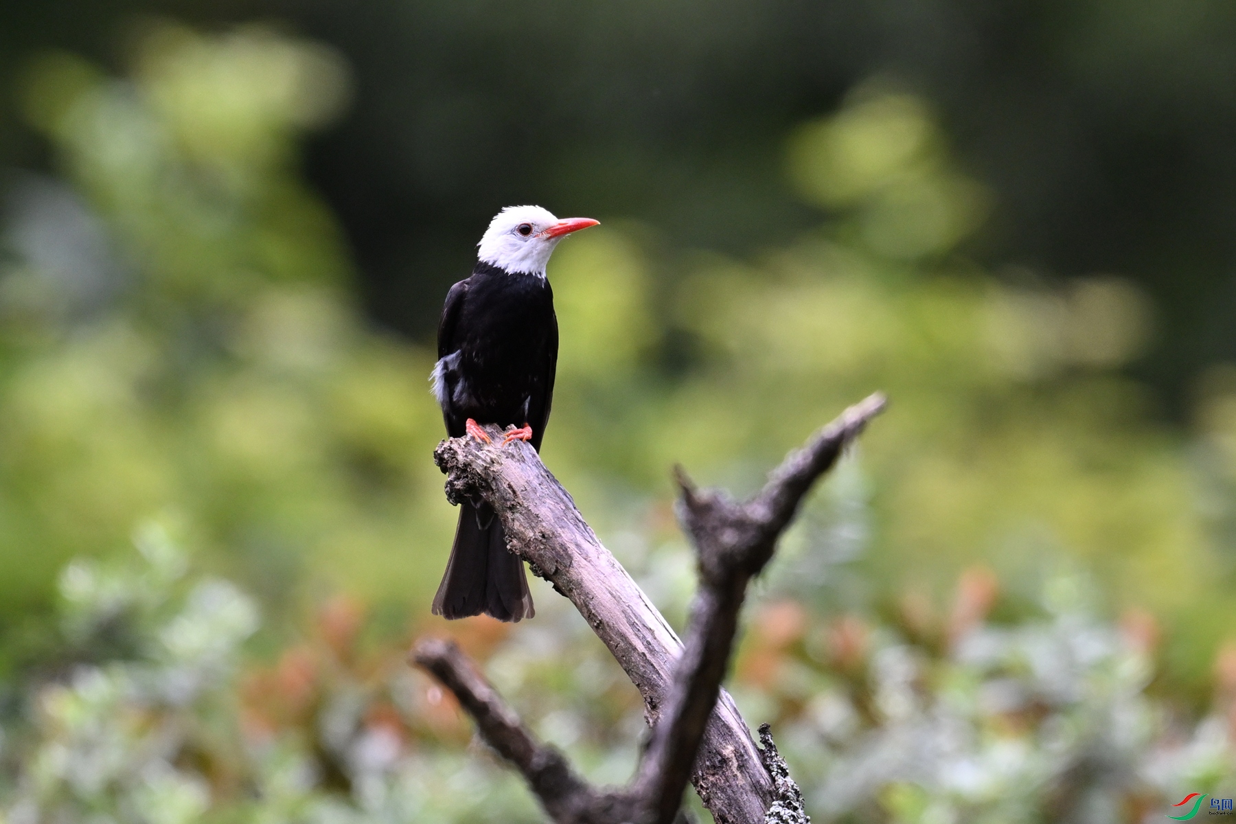 DSC_3394.JPG