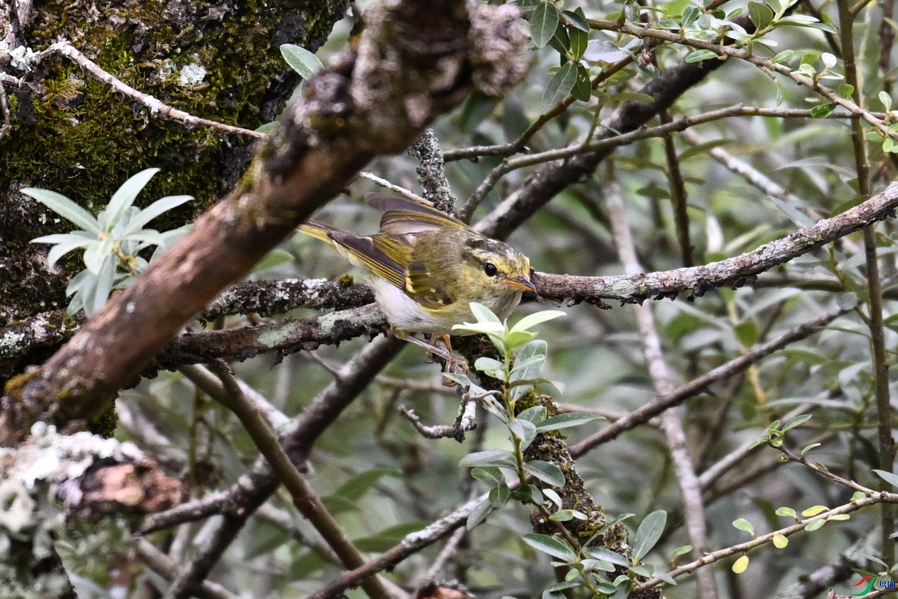 DSC_3408.JPG