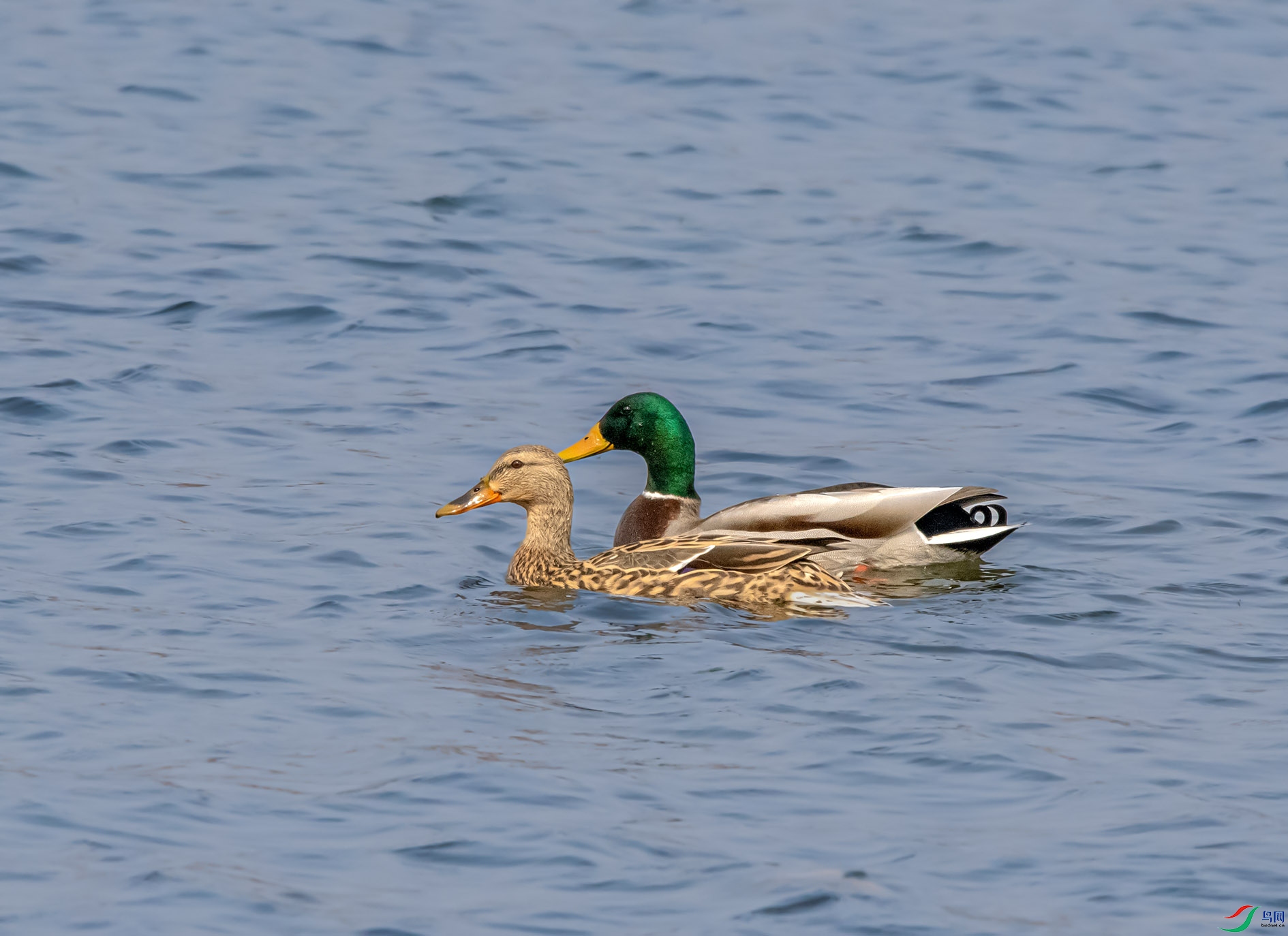 DSC_6058_��ͼ�� ����.jpg