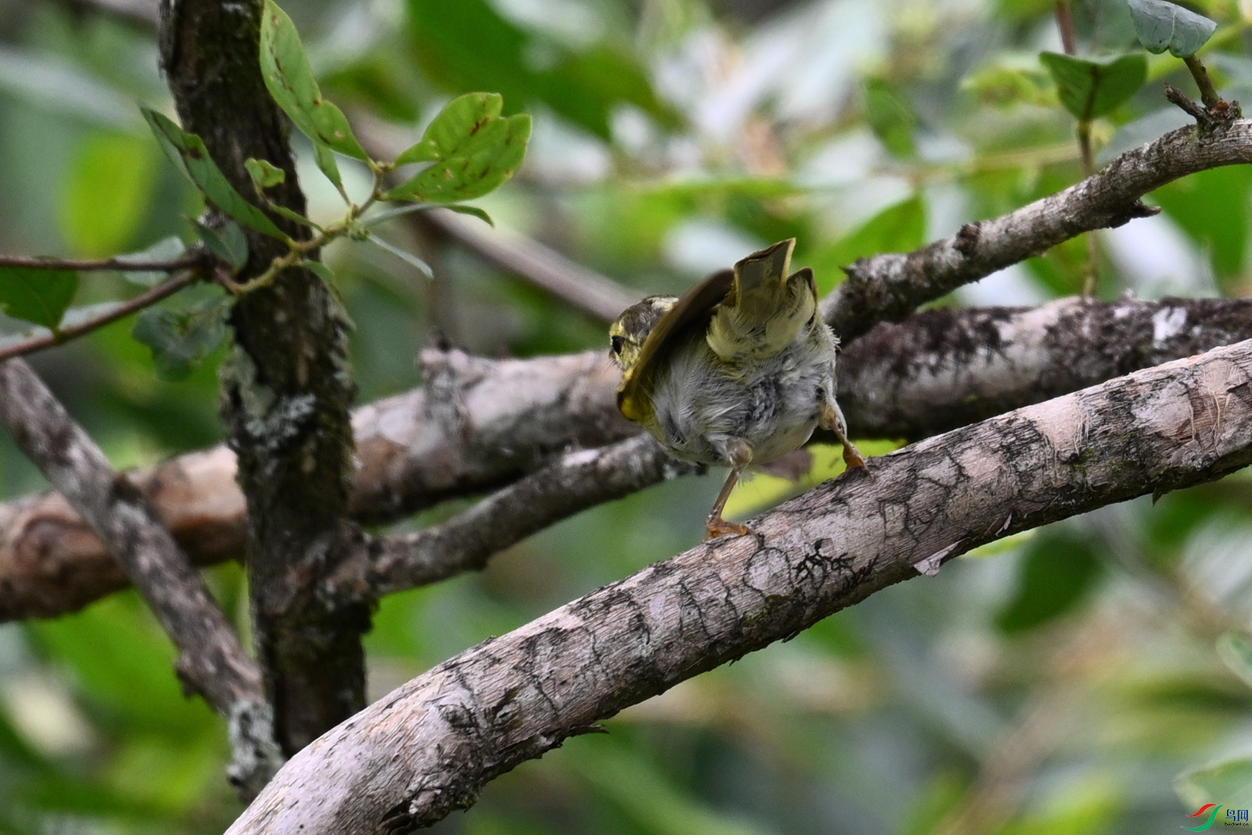 DSC_3339.JPG