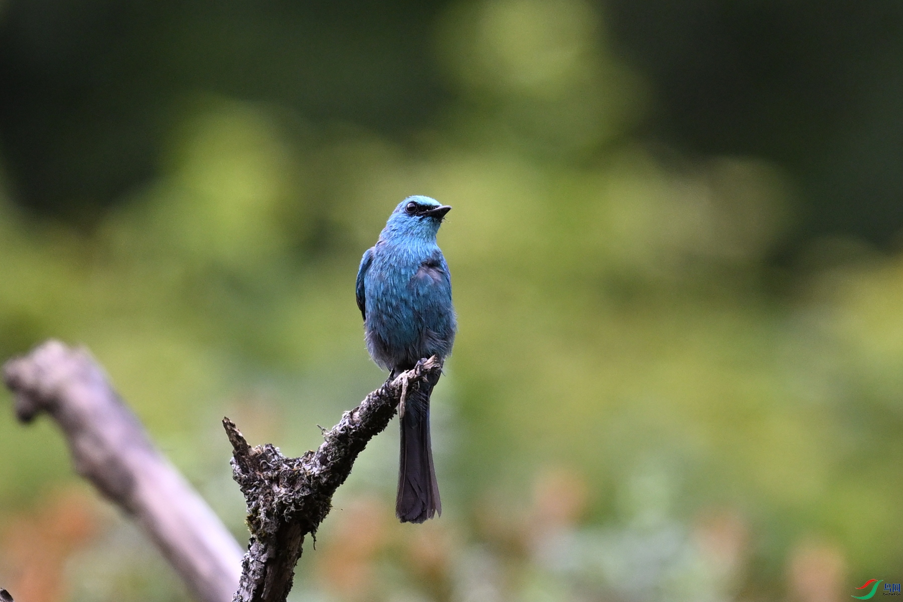 DSC_3385.JPG