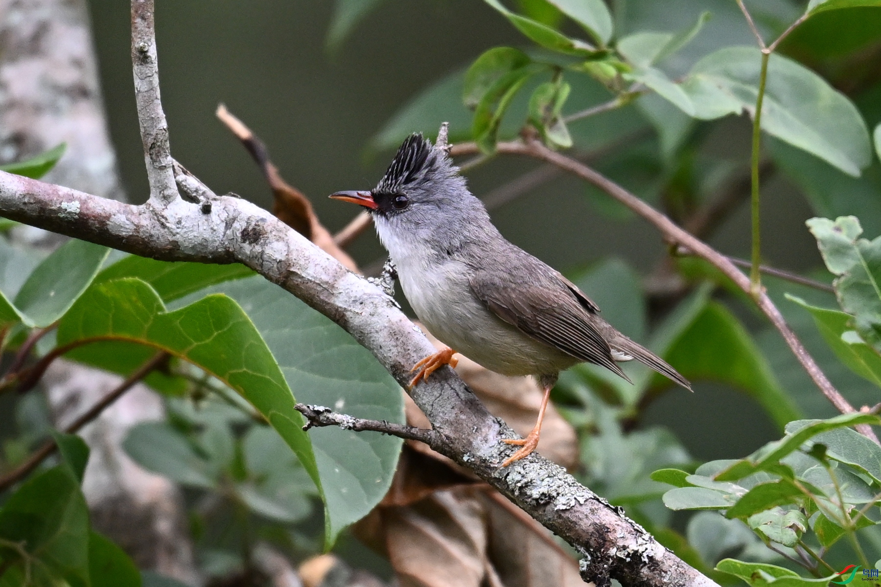 DSC_3416.JPG