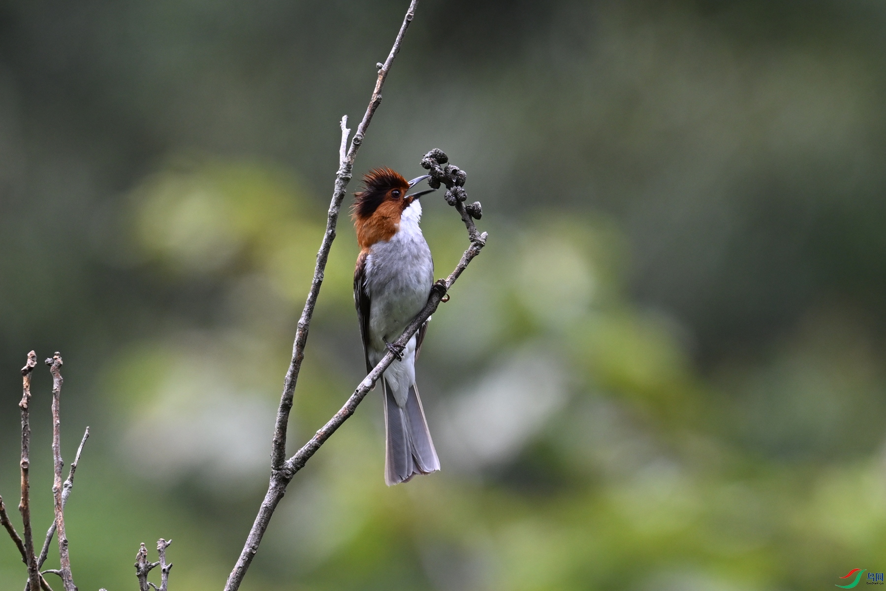 DSC_3342.JPG
