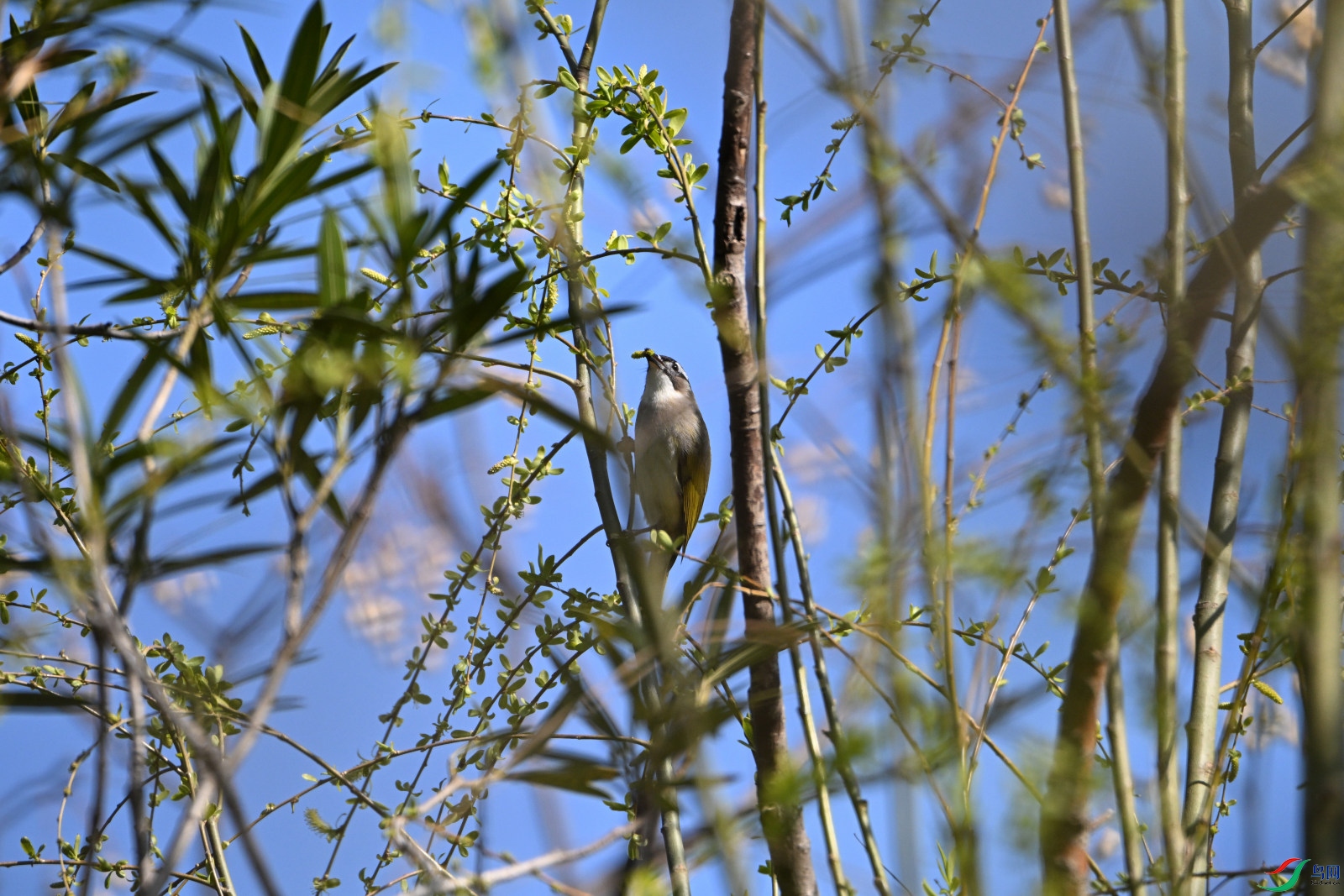 DSC_1676.JPG