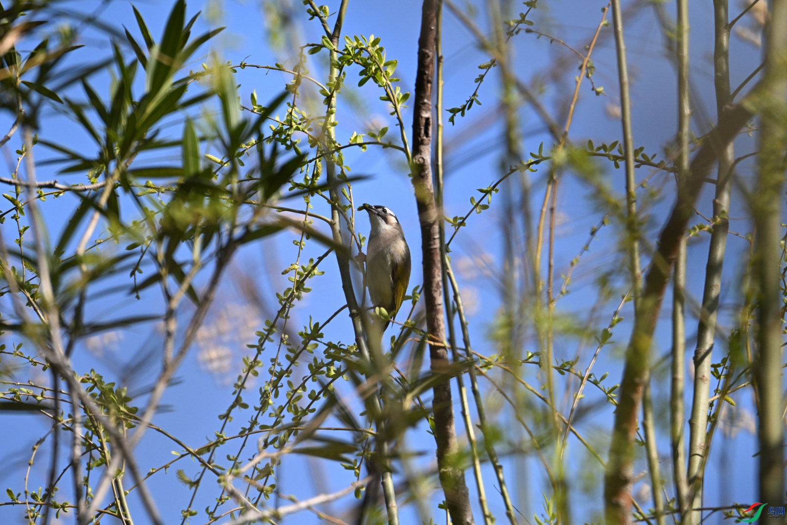 DSC_1679.JPG