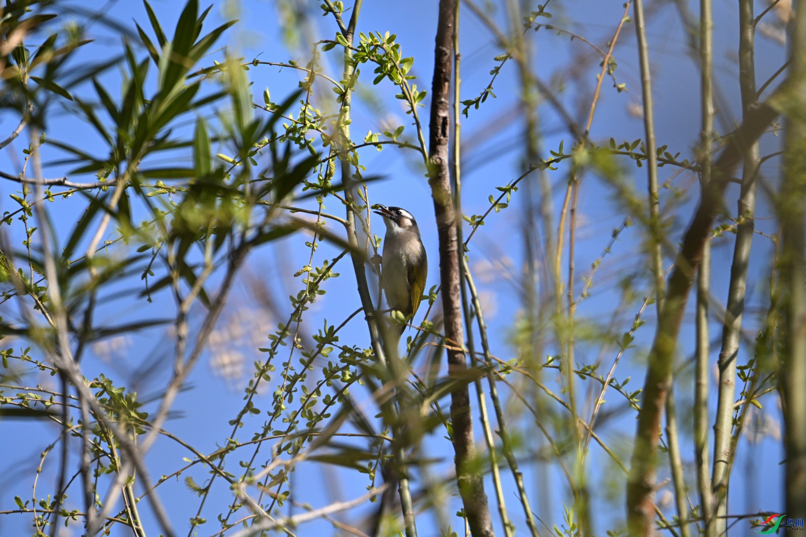 DSC_1680.JPG