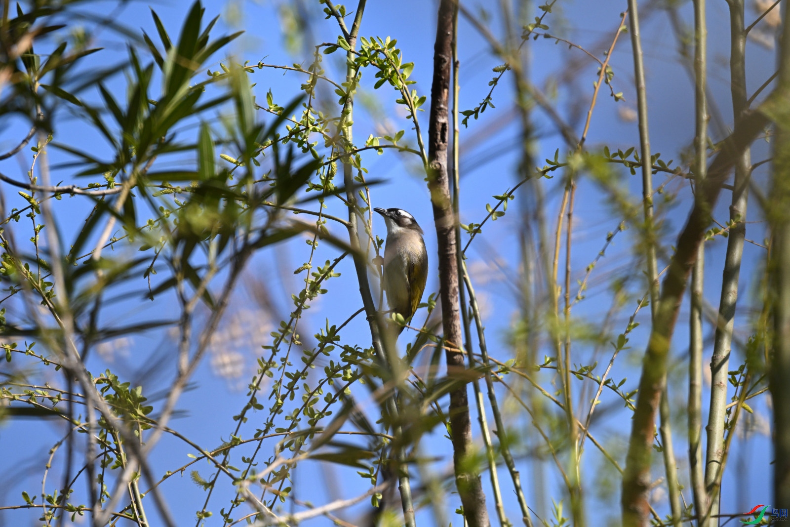 DSC_1689.JPG
