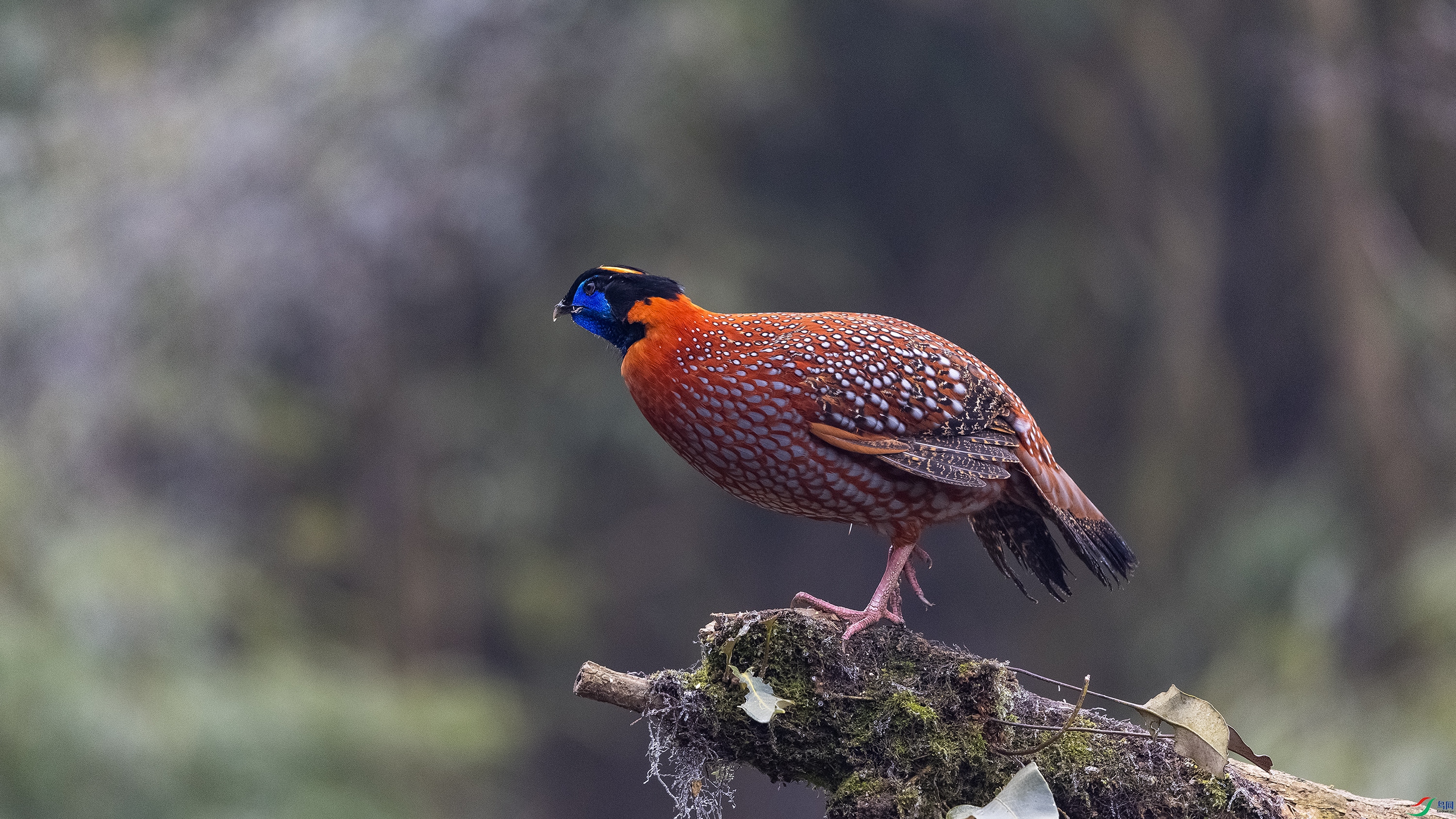 �츹���� 2.jpg