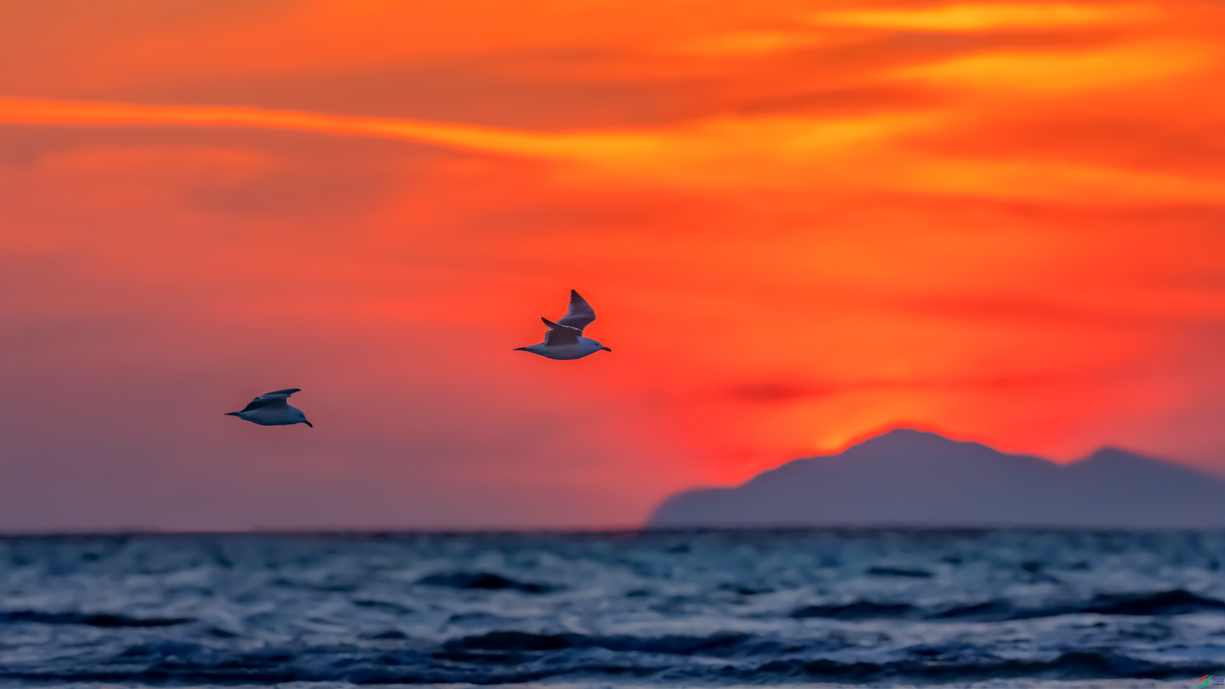 DSC02745 ����.jpg