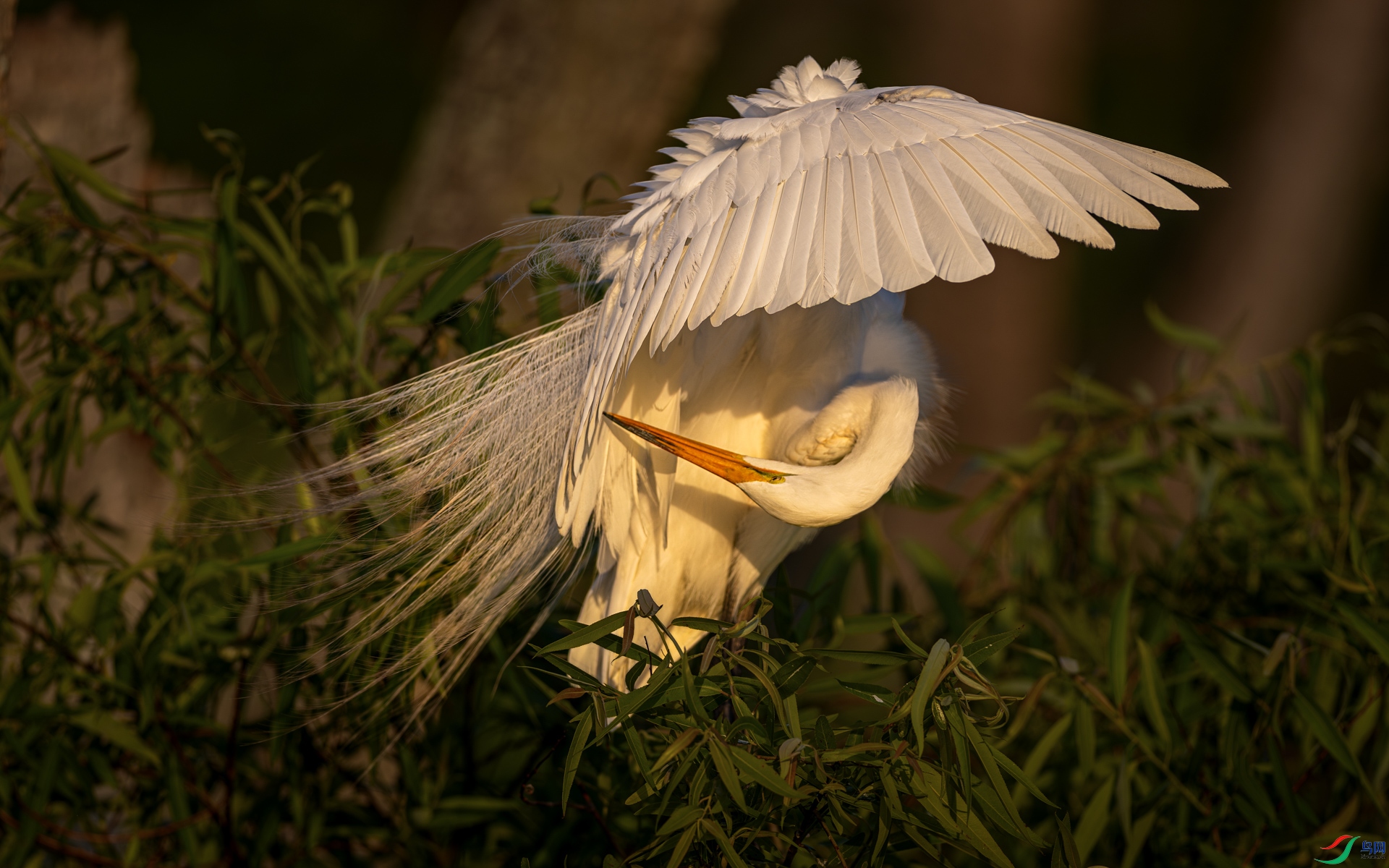498A7967_1.jpg