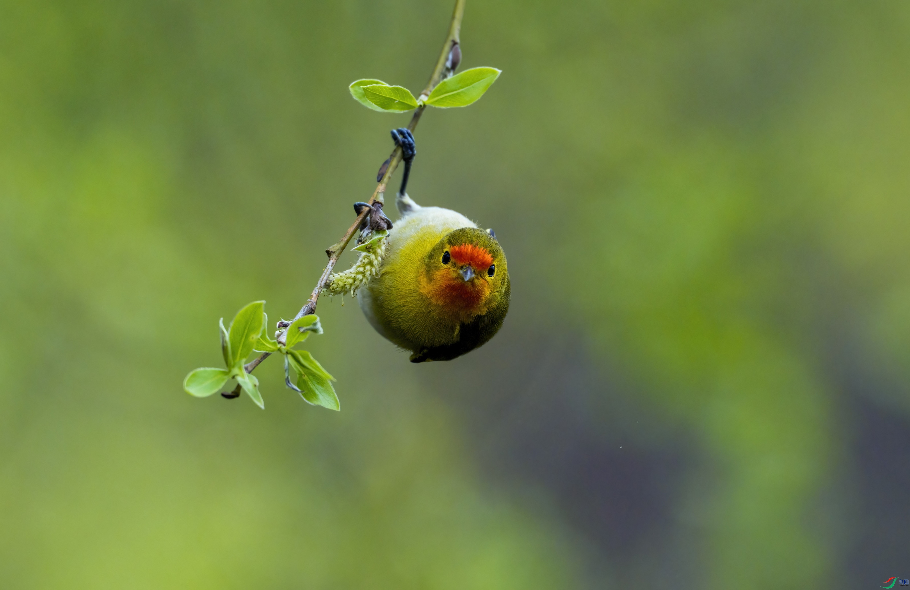 _DSC2155 ����F001.jpg