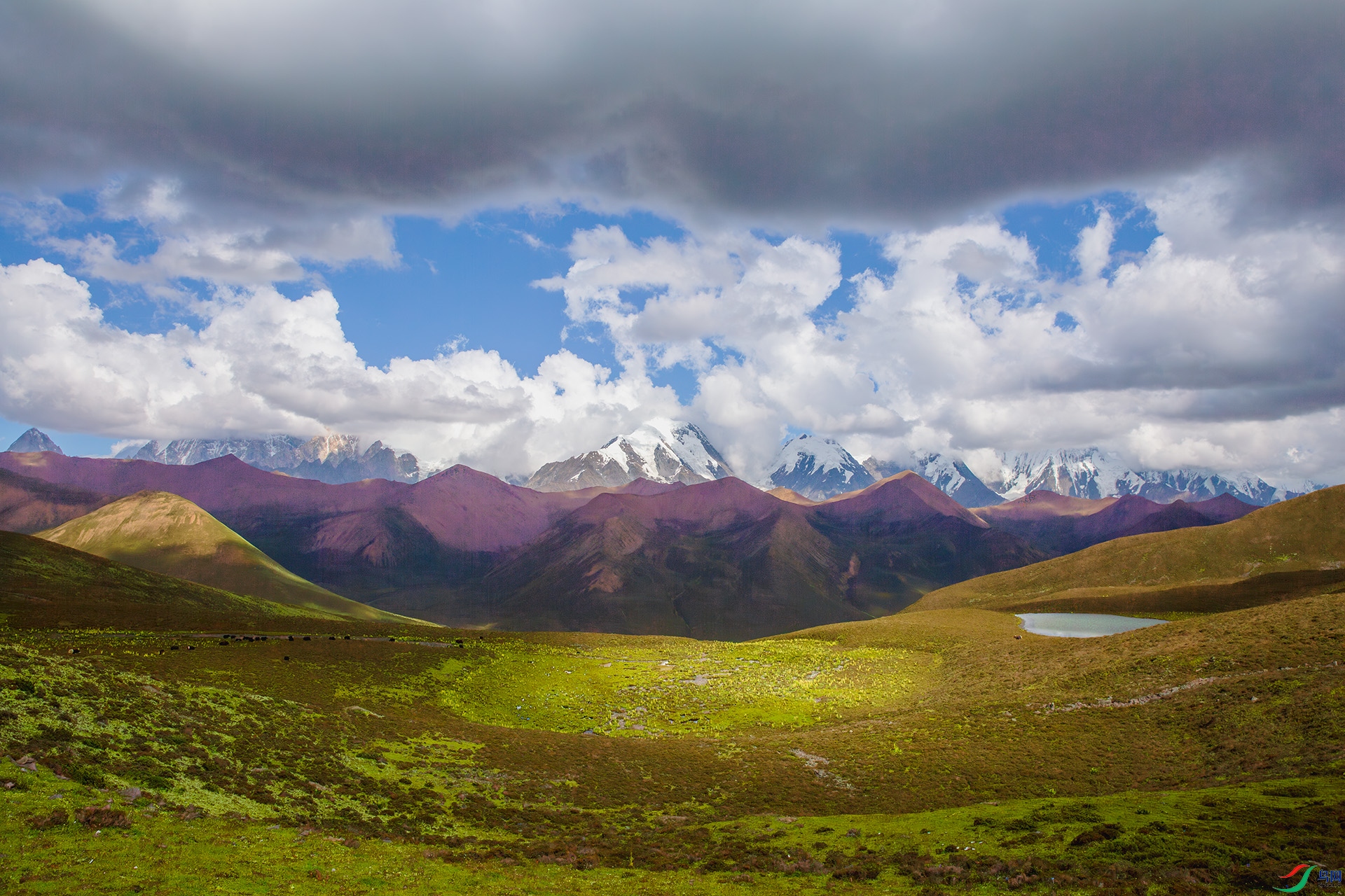 1J9A2495-����ǿ-NR ����.jpg