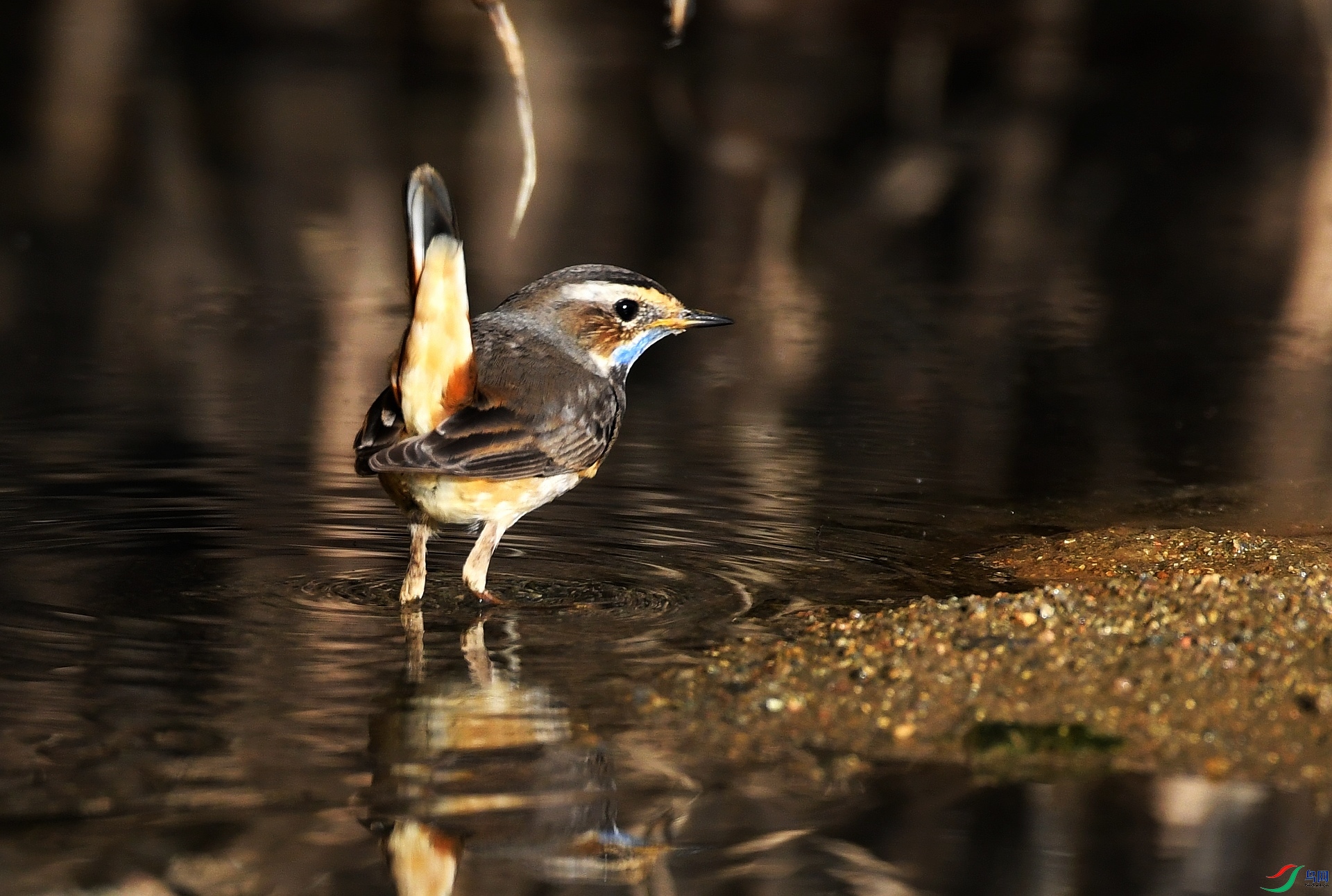 DSC_5207.jpg