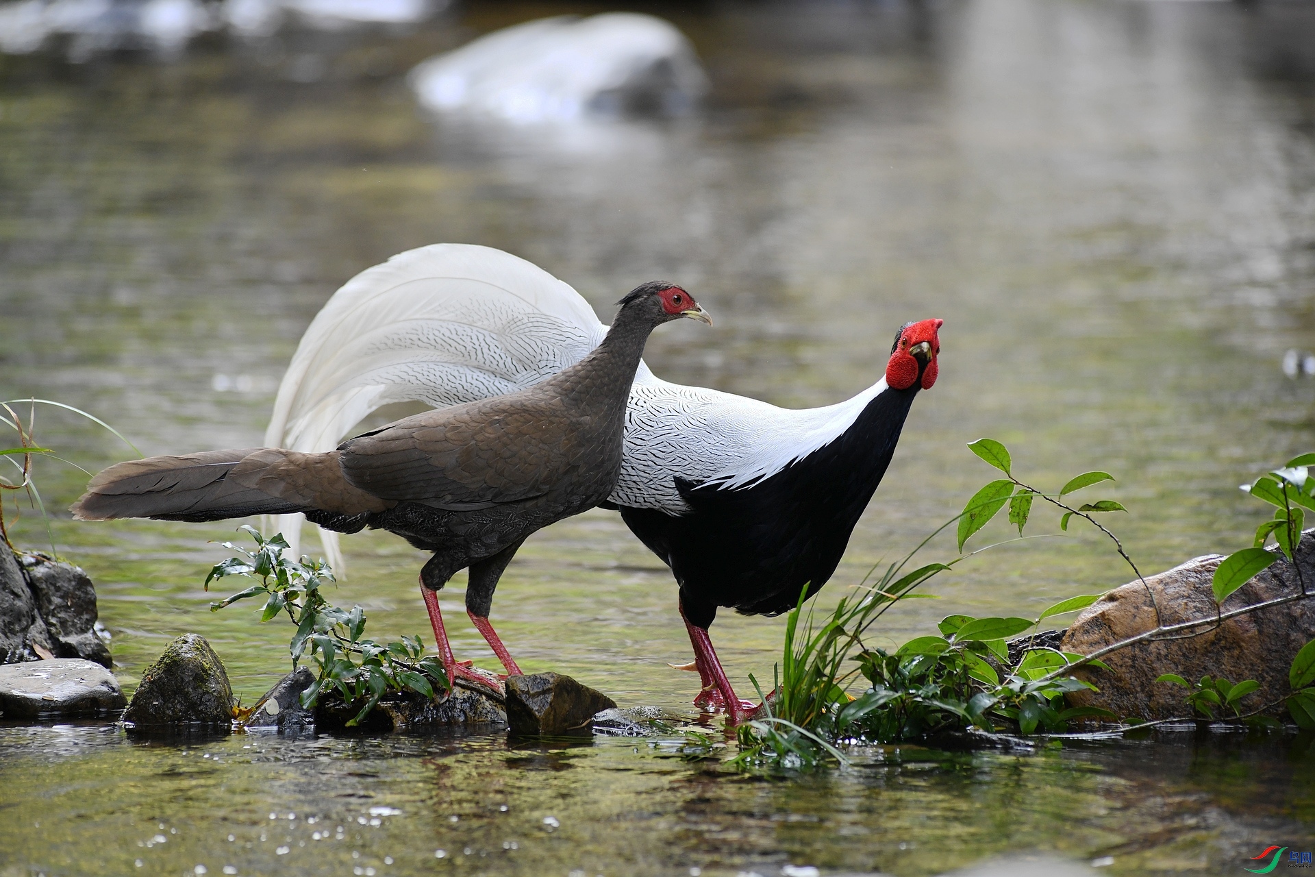 DSC_3115.jpg