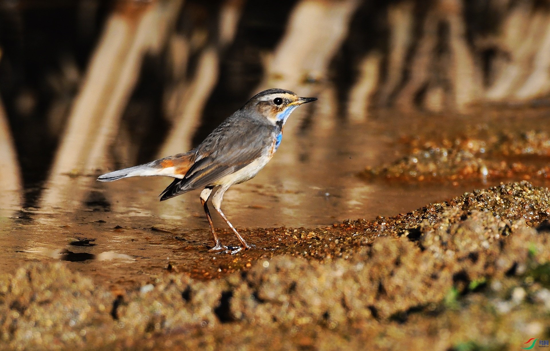 DSC_5216.jpg