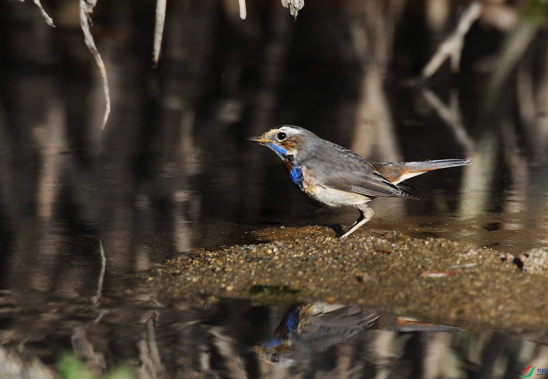 DSC_5175.jpg