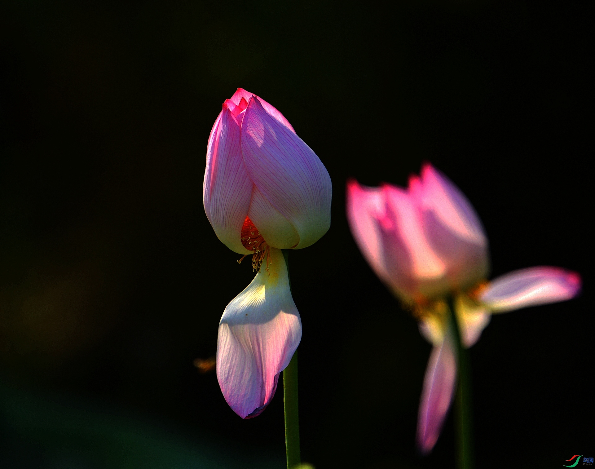 1DS_6590.jpg