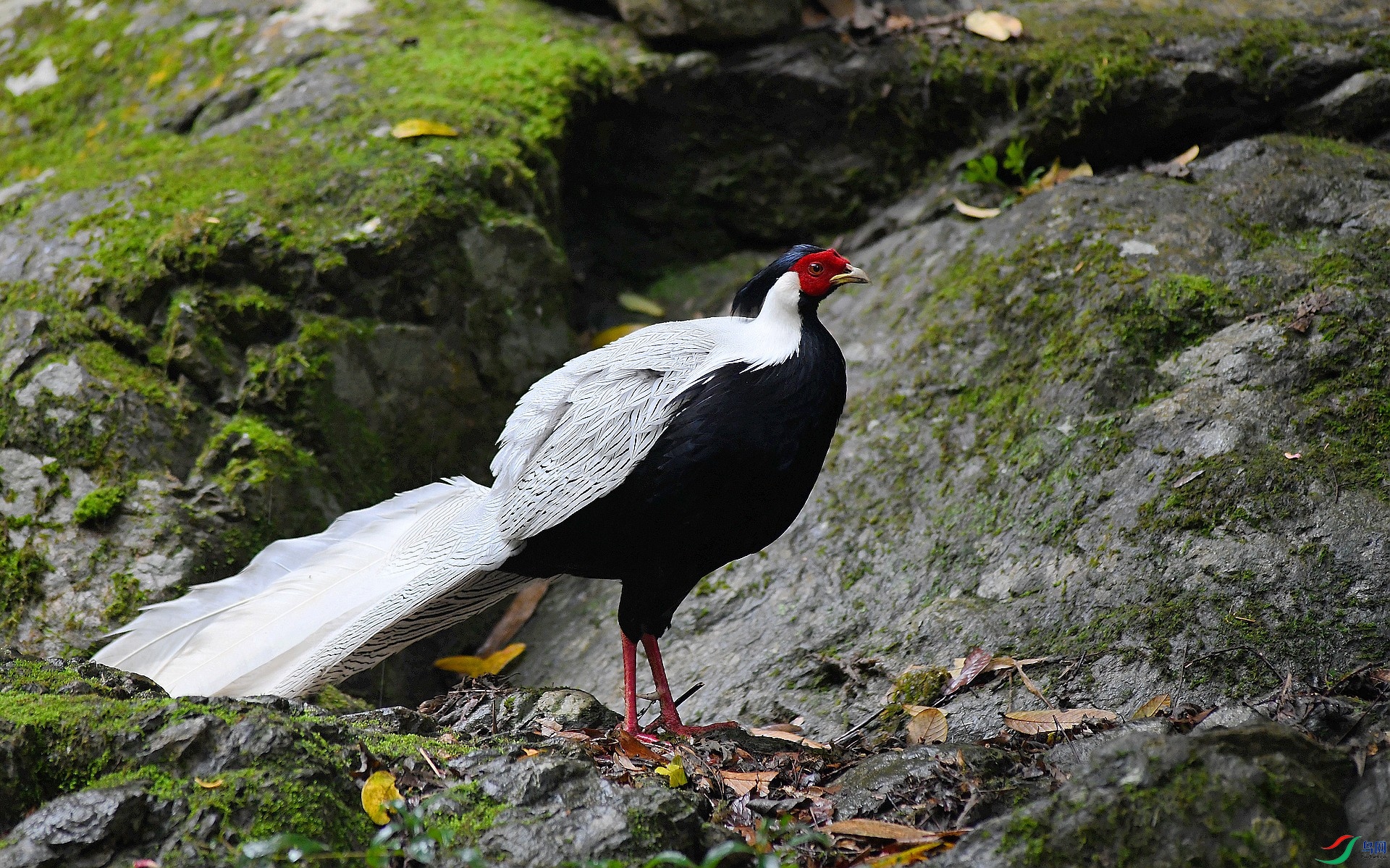 DSC_8209.jpg