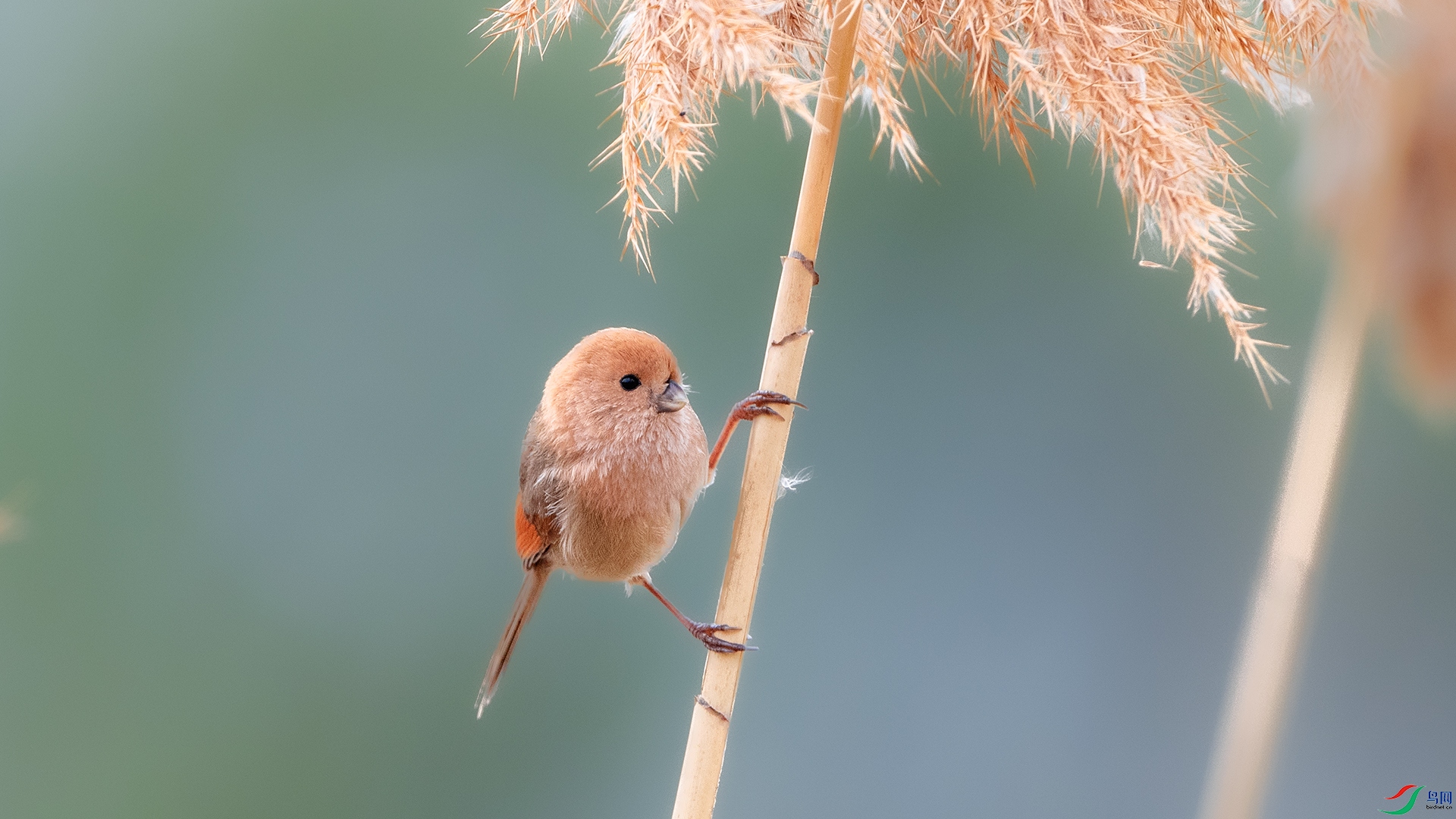 DSC_8269 ����.jpg