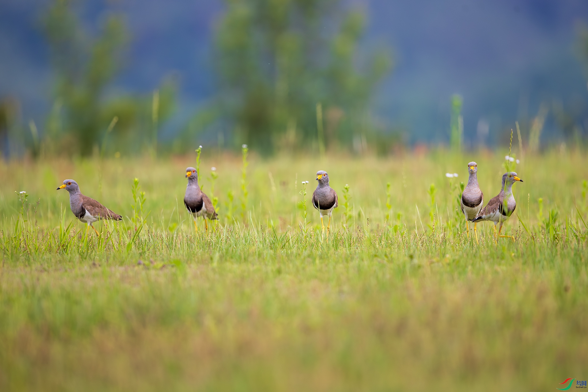 BU3I0023 ����.jpg