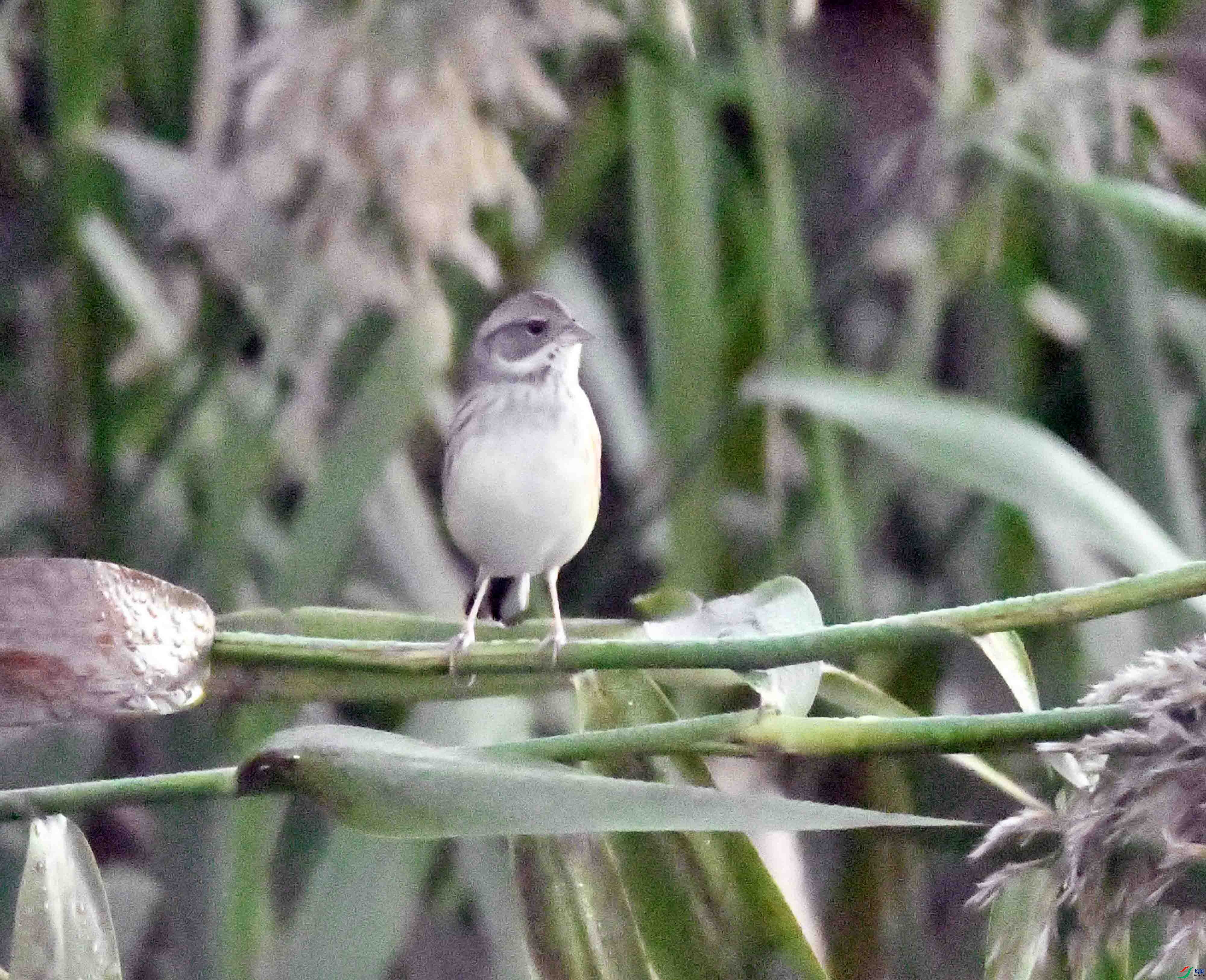 DSC_8357.JPG