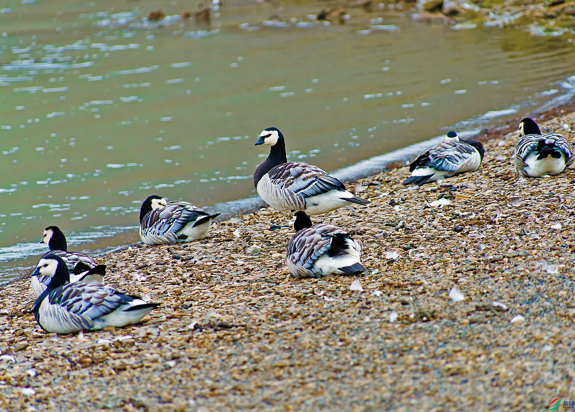 DSC00289-ARW_DxO_DeepPRIME-7x.jpg