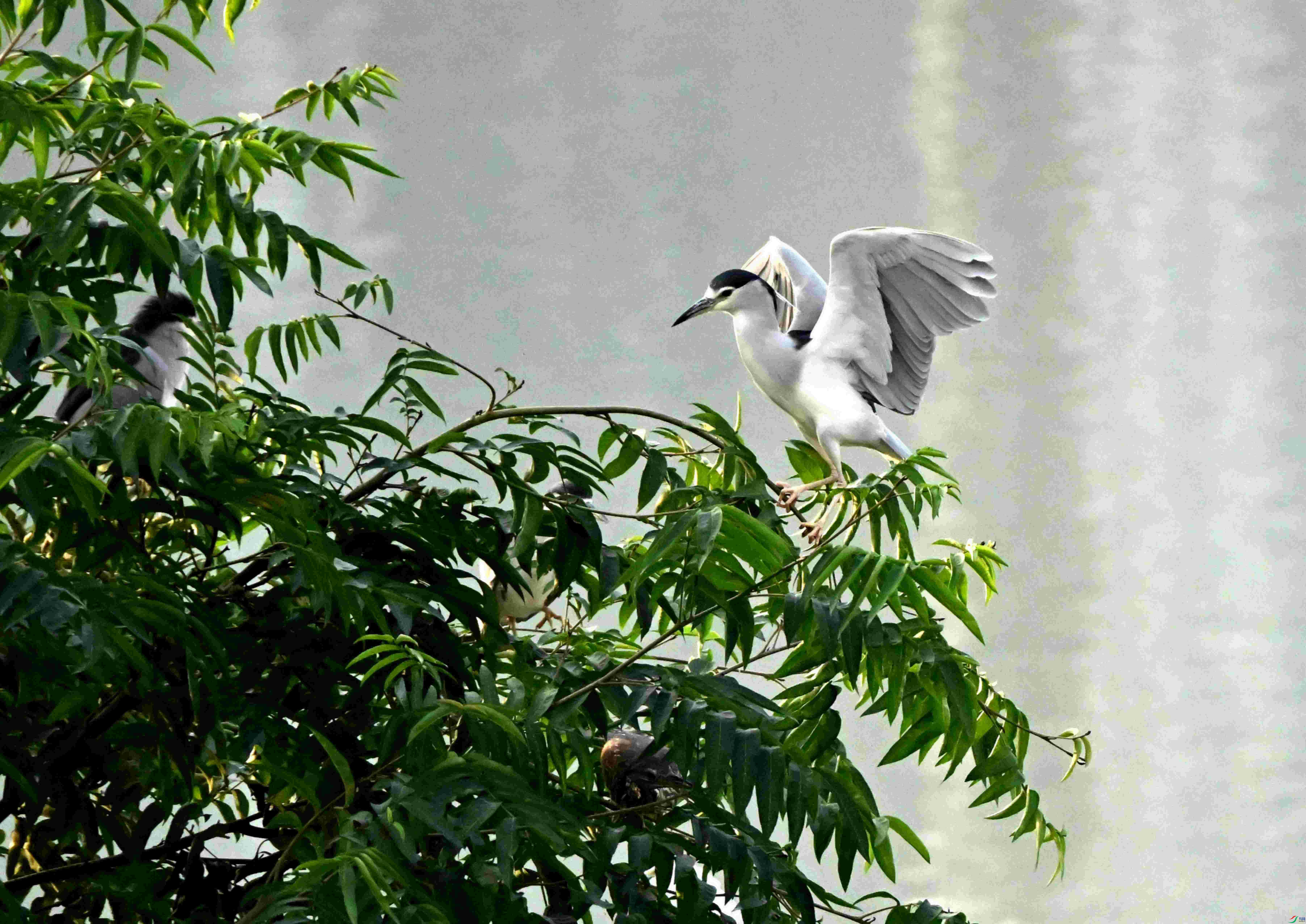 DSC_8365.JPG