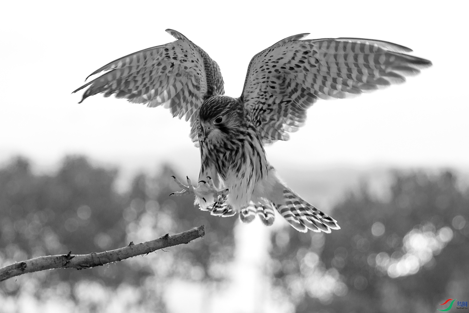 1N5A7578 ����.jpg