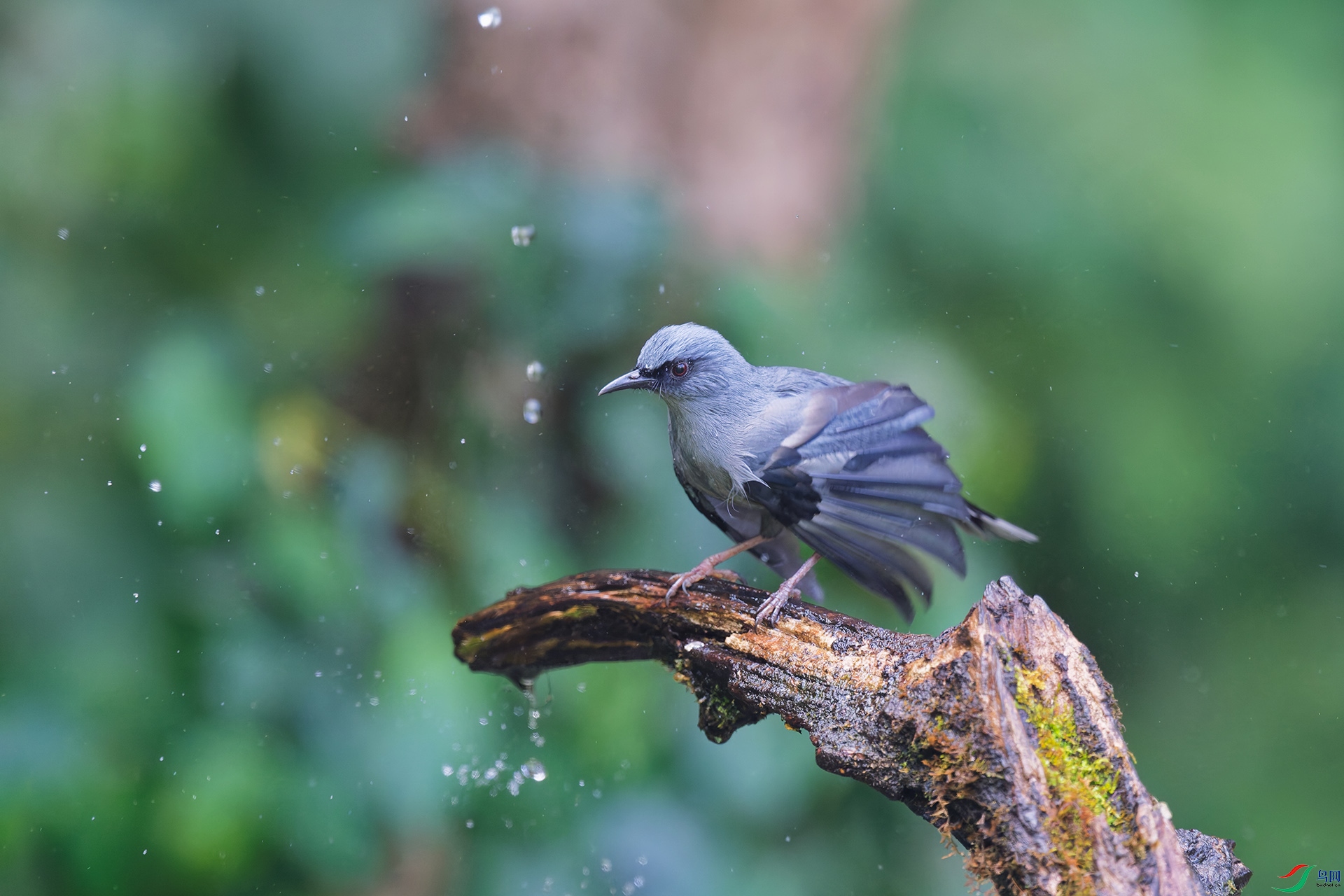 DSC_5630_DxO_DxOa.jpg