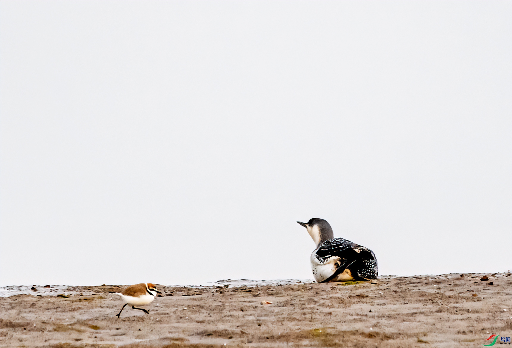 DSC_5391-1.jpg