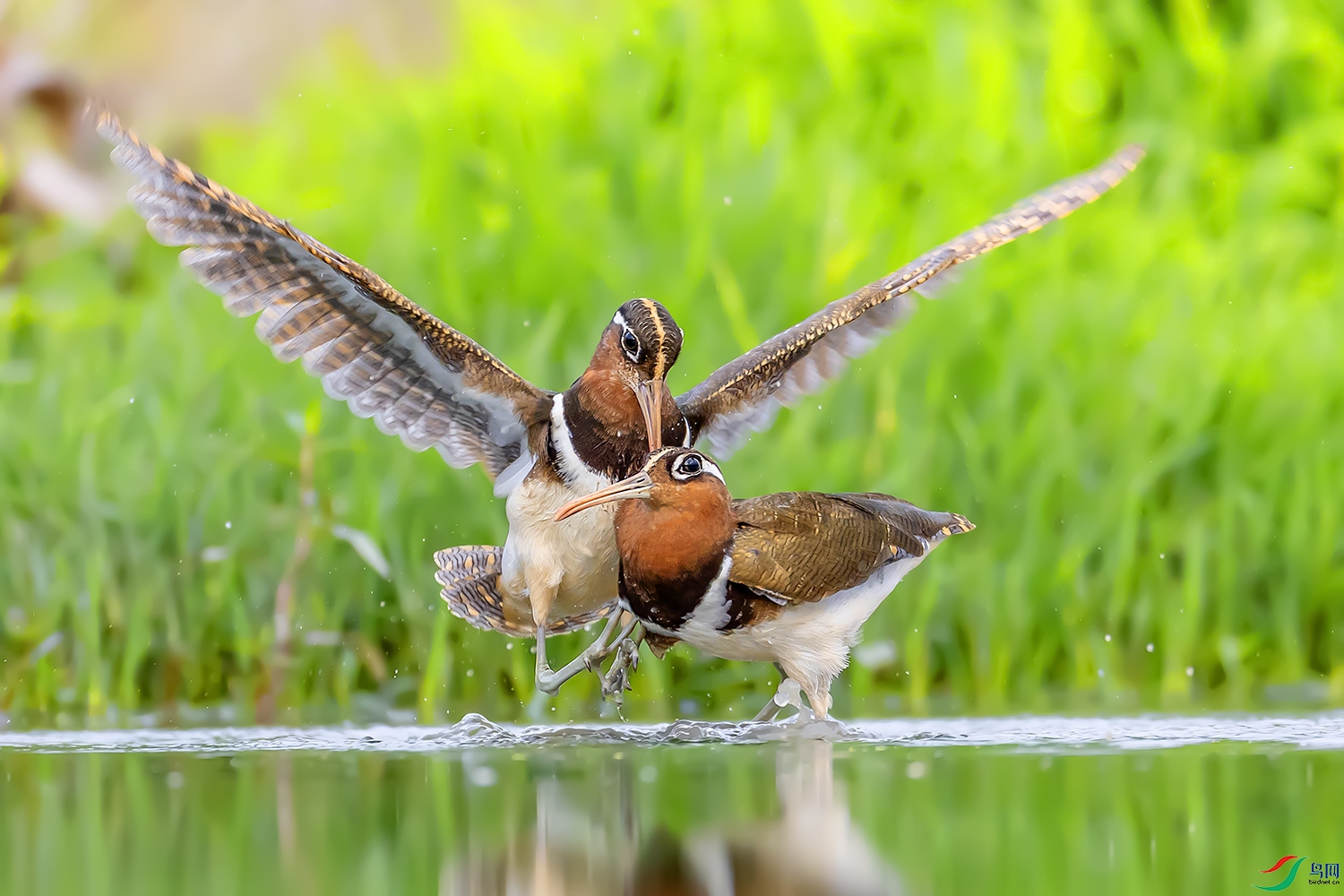 0F7A0316 ����.jpg