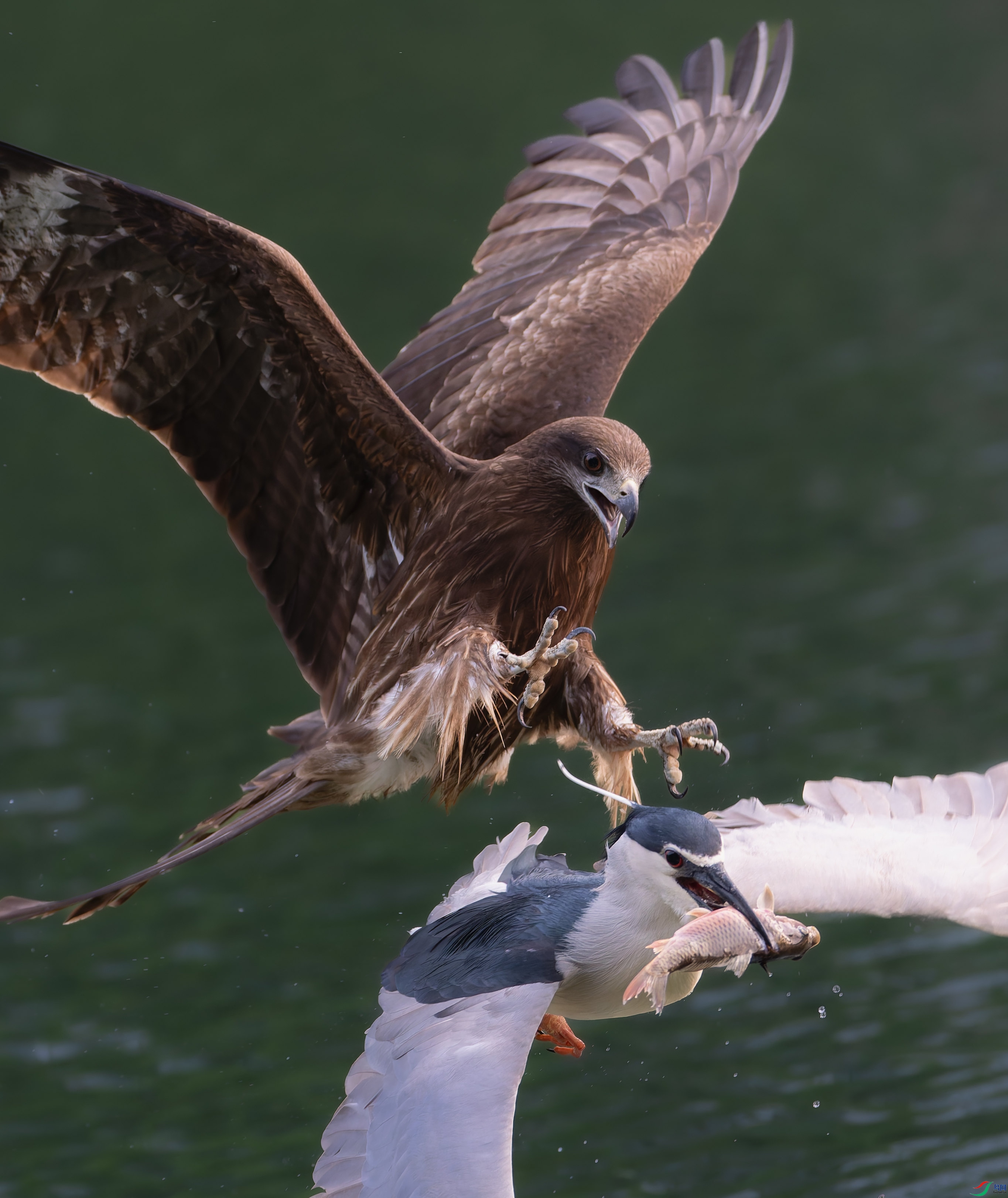 P3291102-DxO_DeepPRIME XD2s_����.jpg