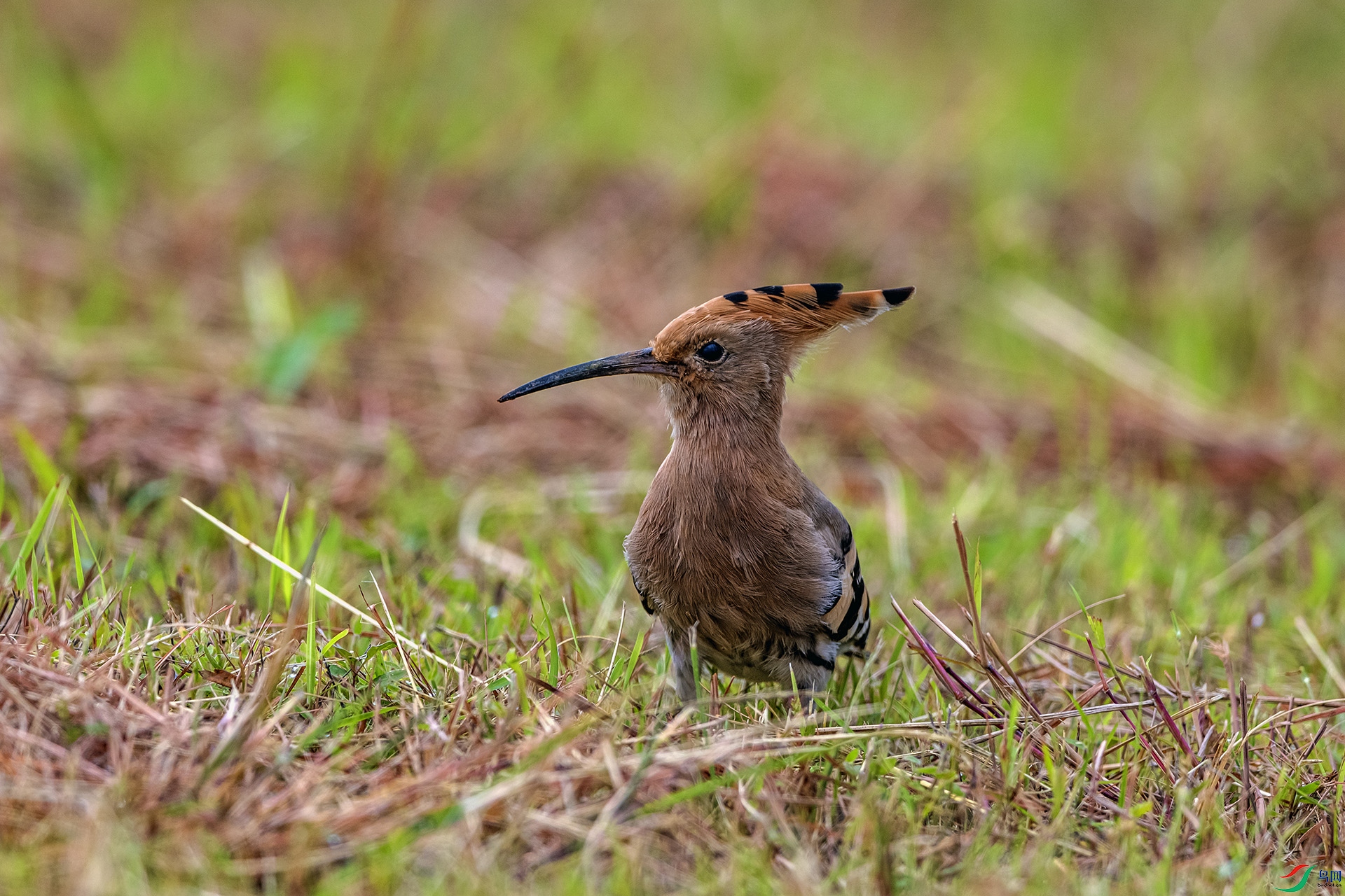 _AUU0248 ��ʤ(25.9.22).jpg