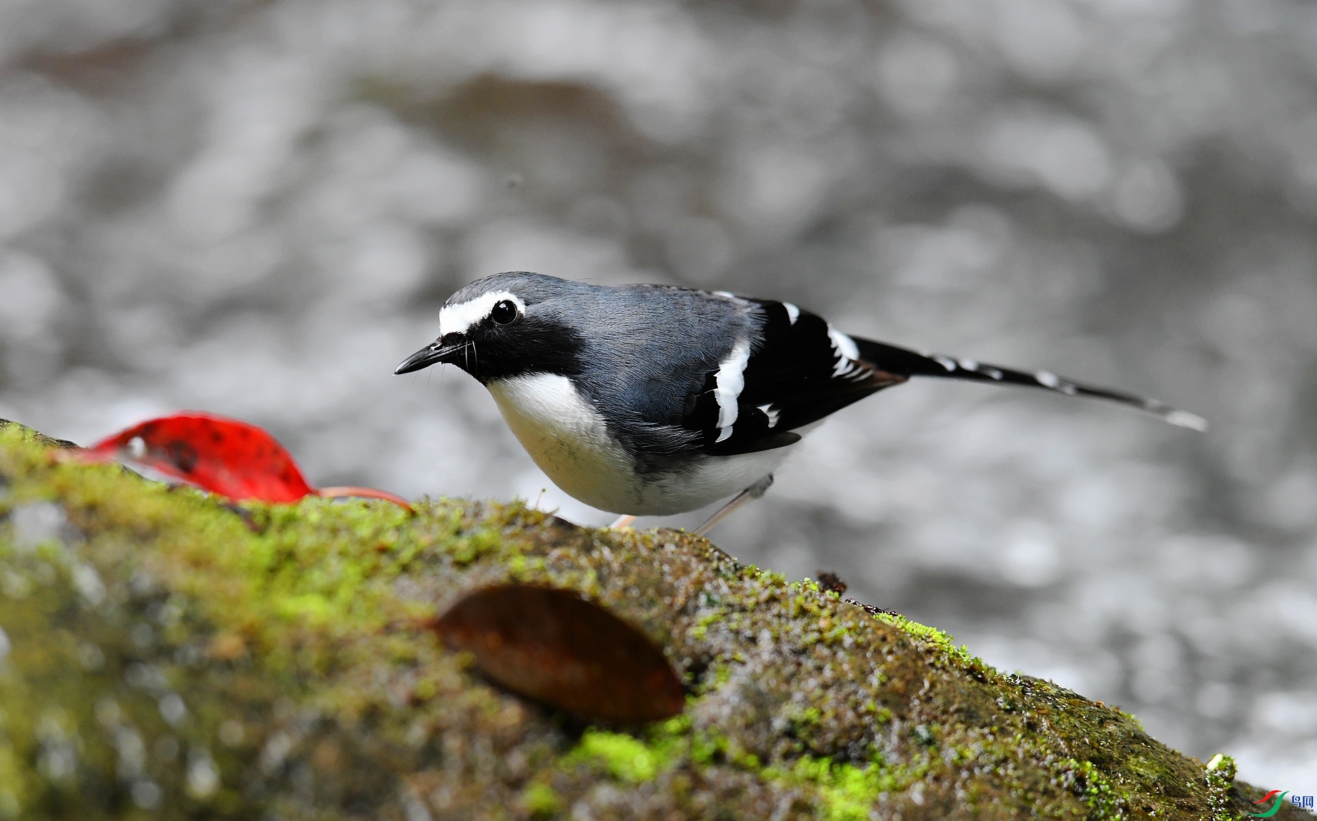DSC_9670.jpg