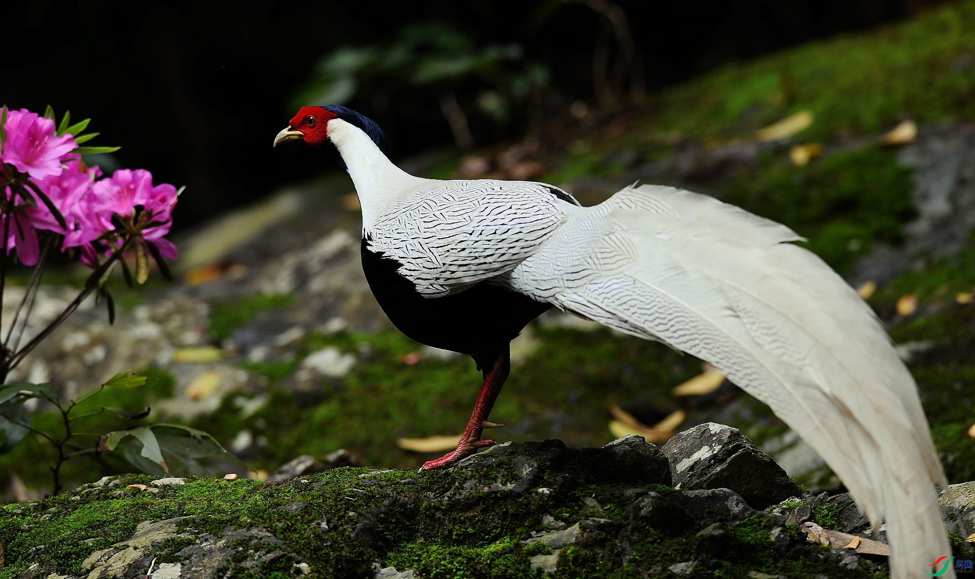 DSC_8954.jpg
