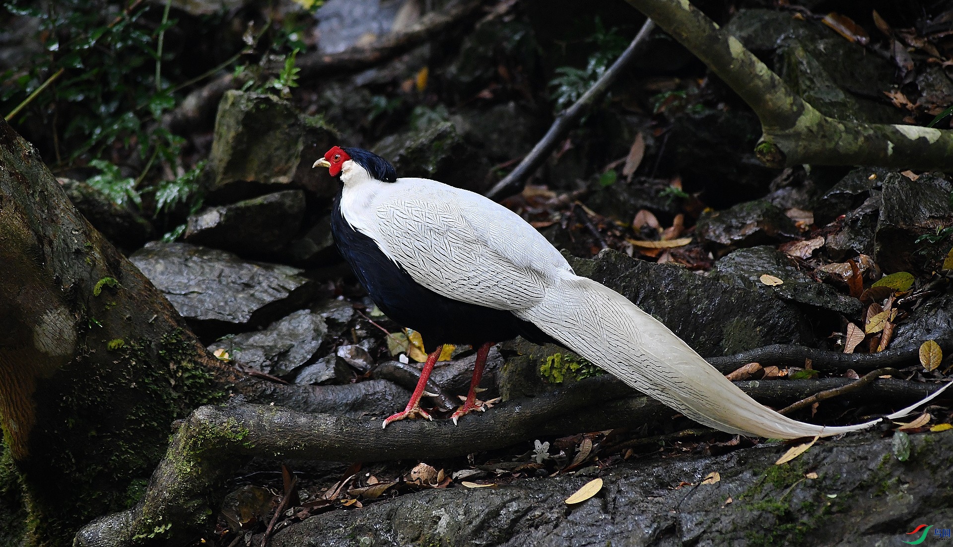 DSC_8460.jpg