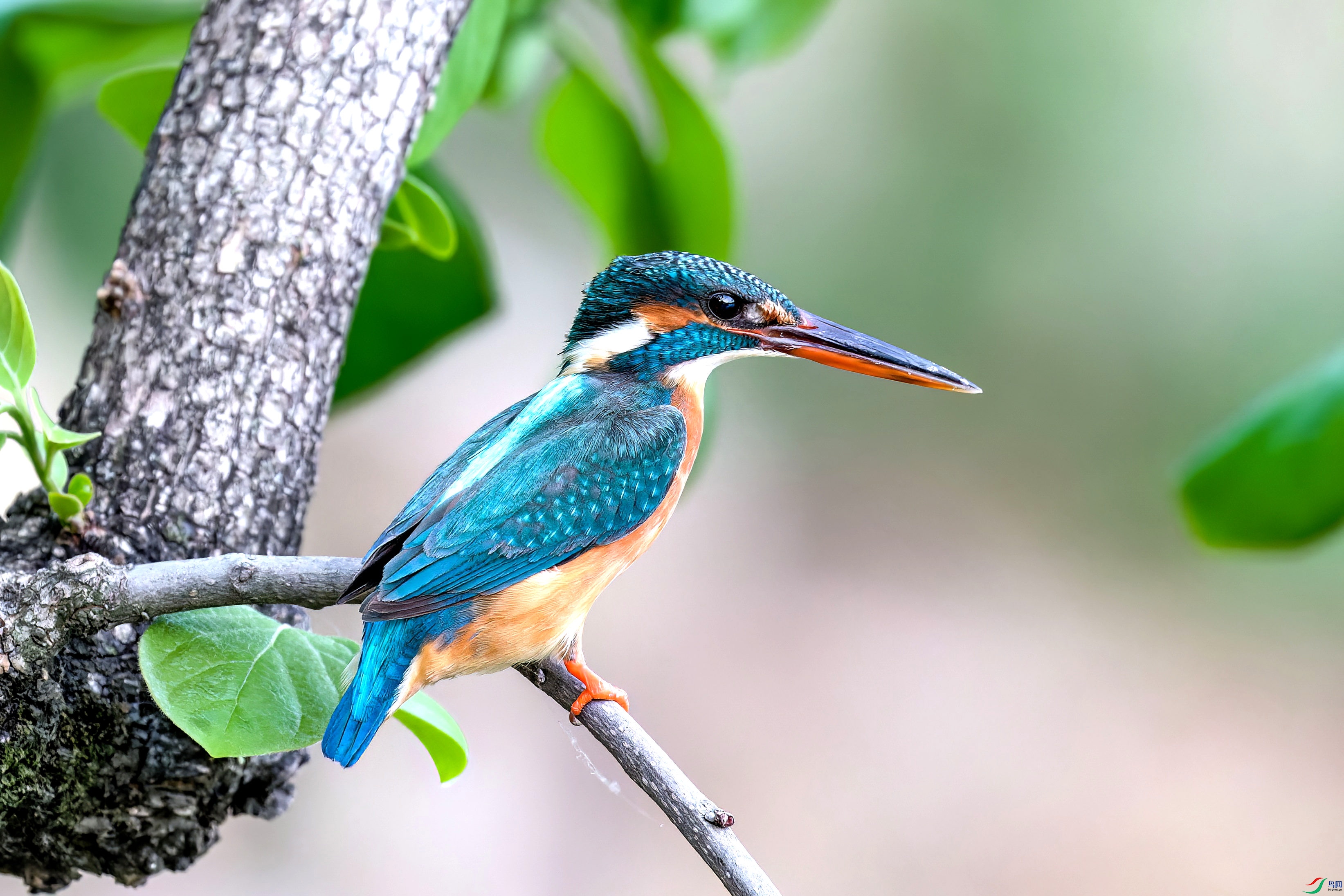 7D2_9347-CR2_DxO_DeepPRIME-1-topaz-denoise.jpg