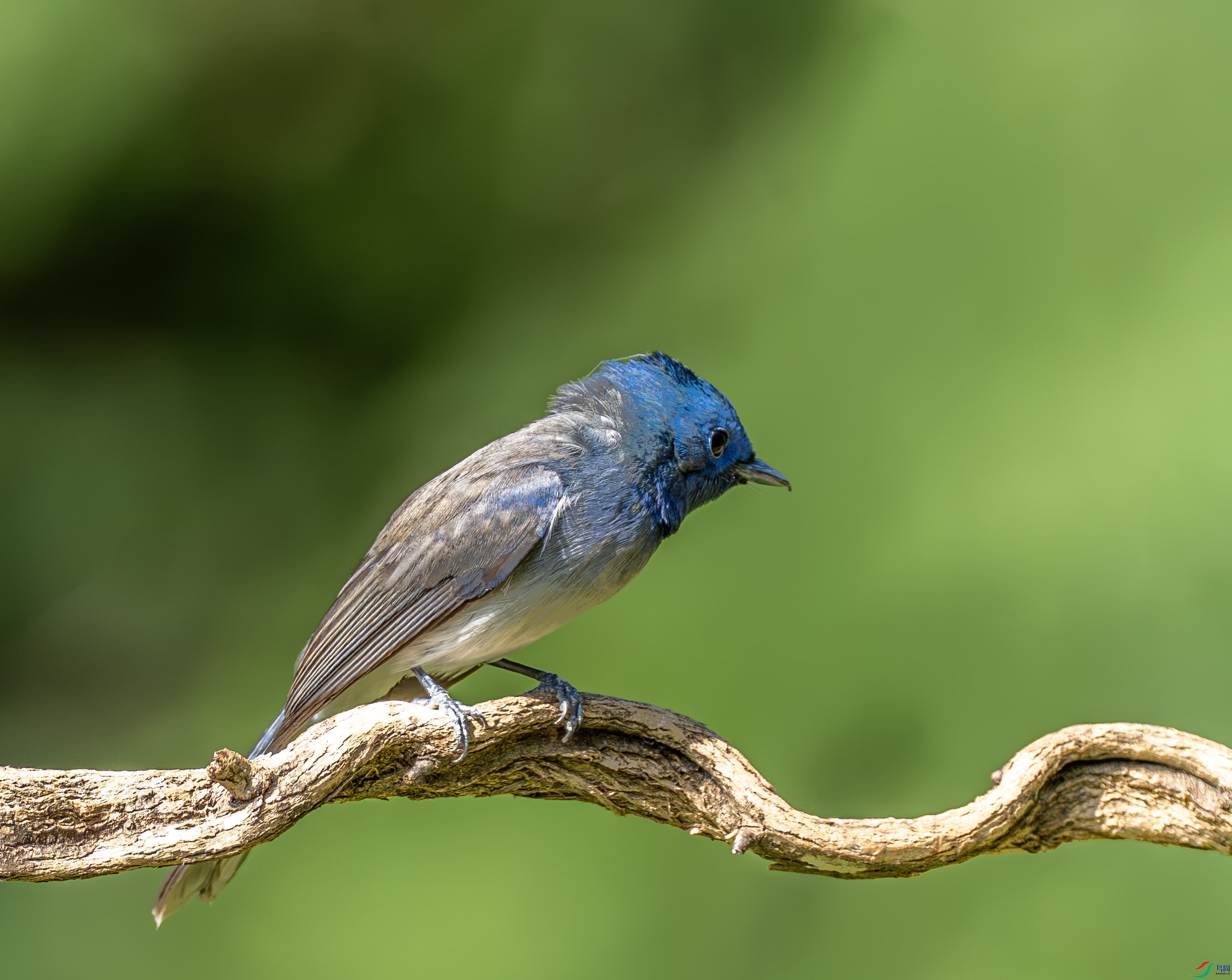 �������l-01-5.jpg