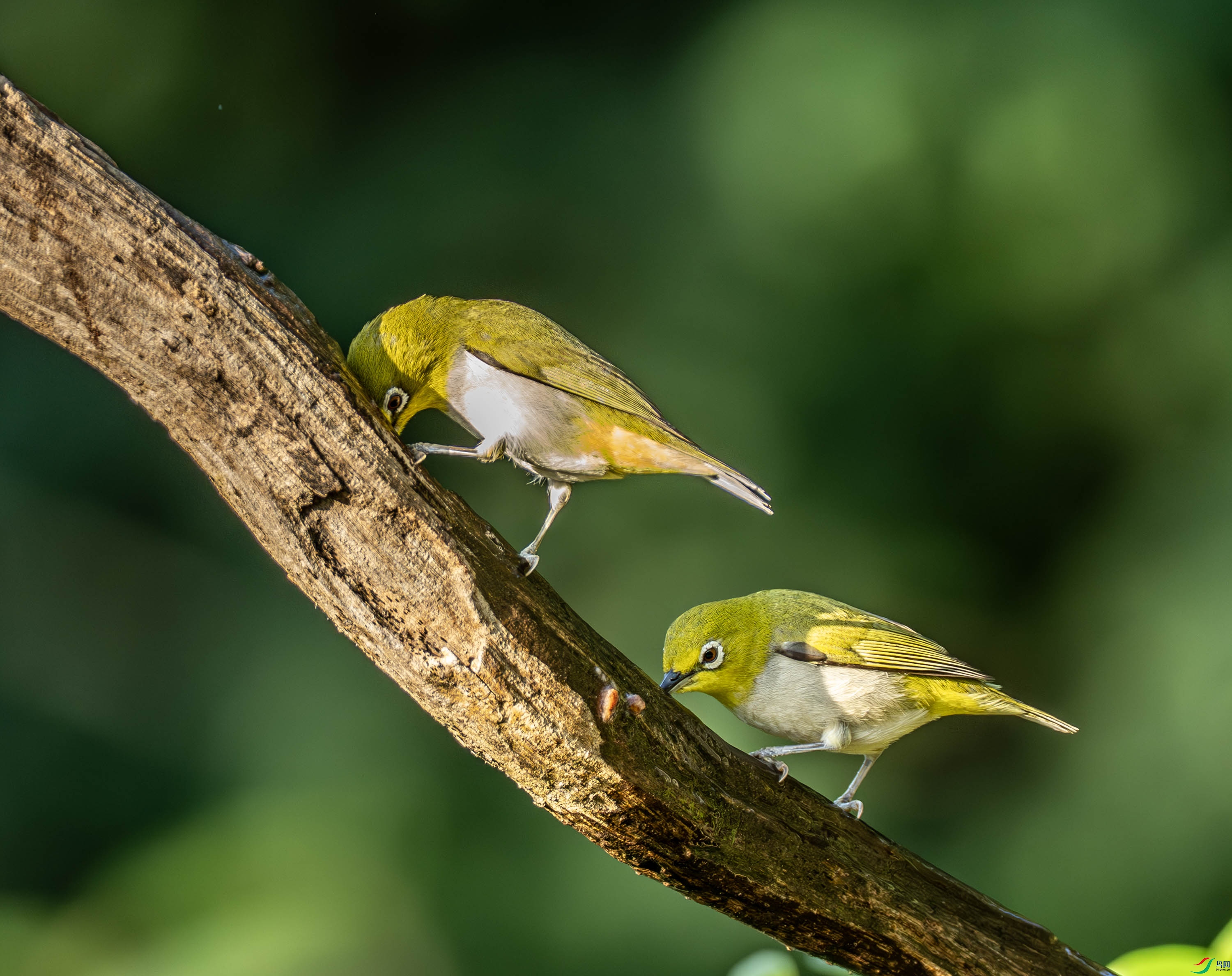 �Ҹ�������-01-8.jpg