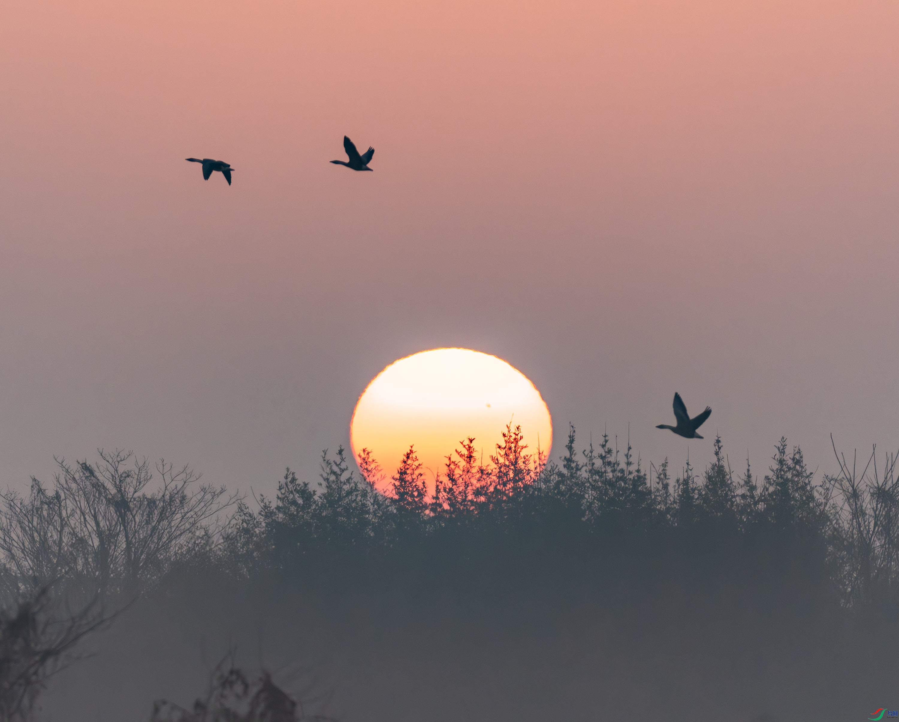 �ճ�-01-4-2.jpg