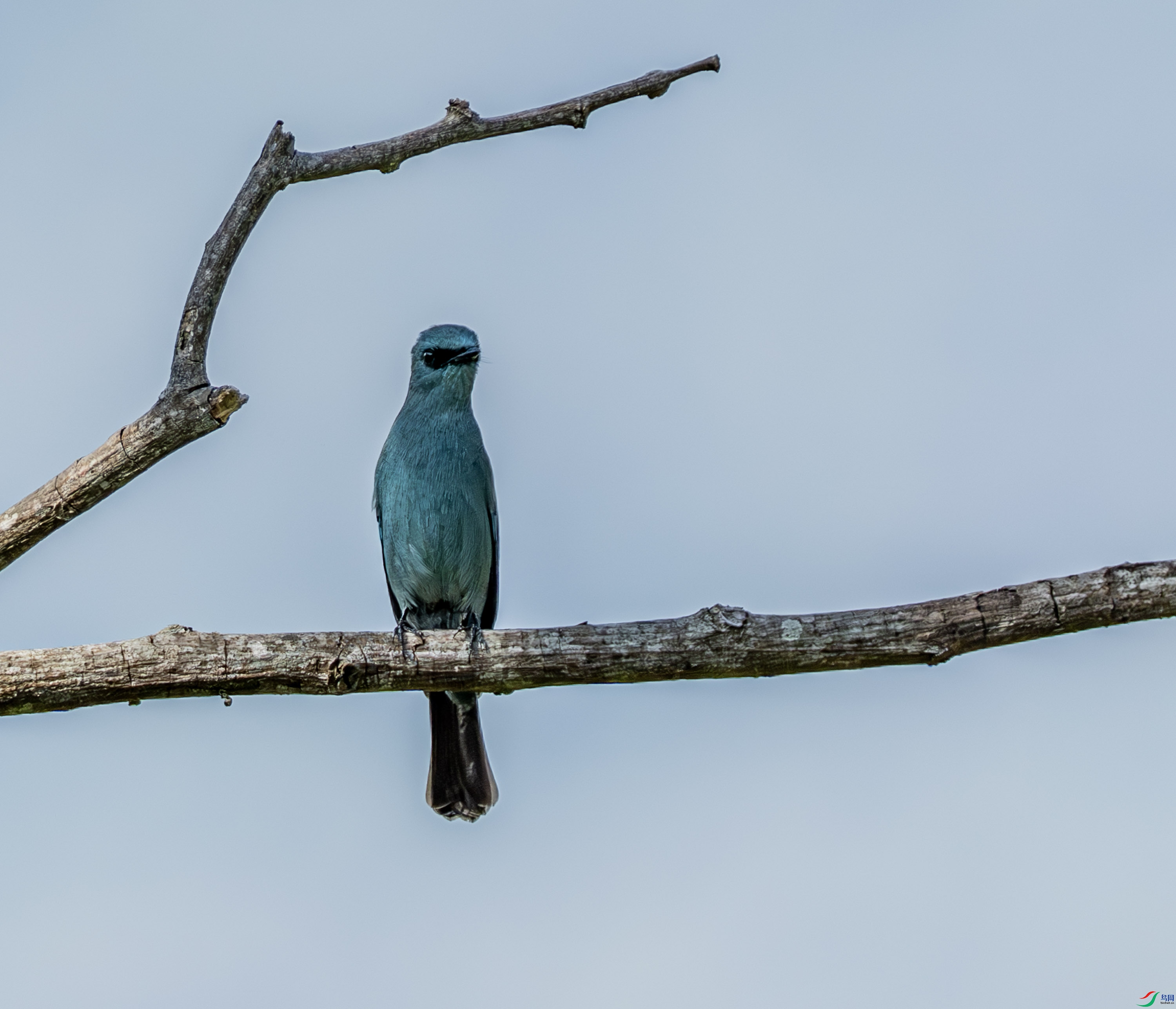 ͭ���l-01-6.jpg