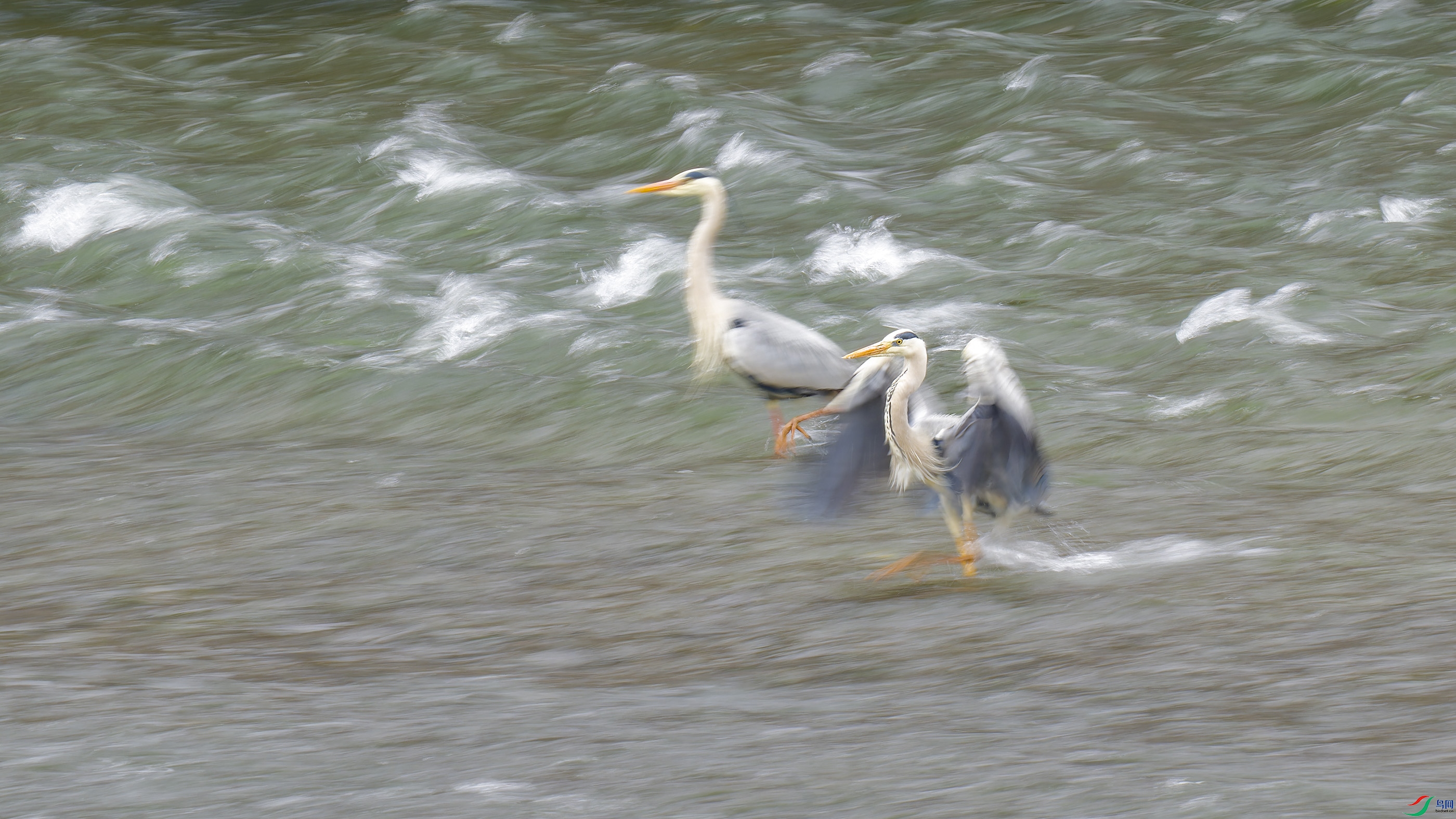 DSC_0206_DxO.jpg