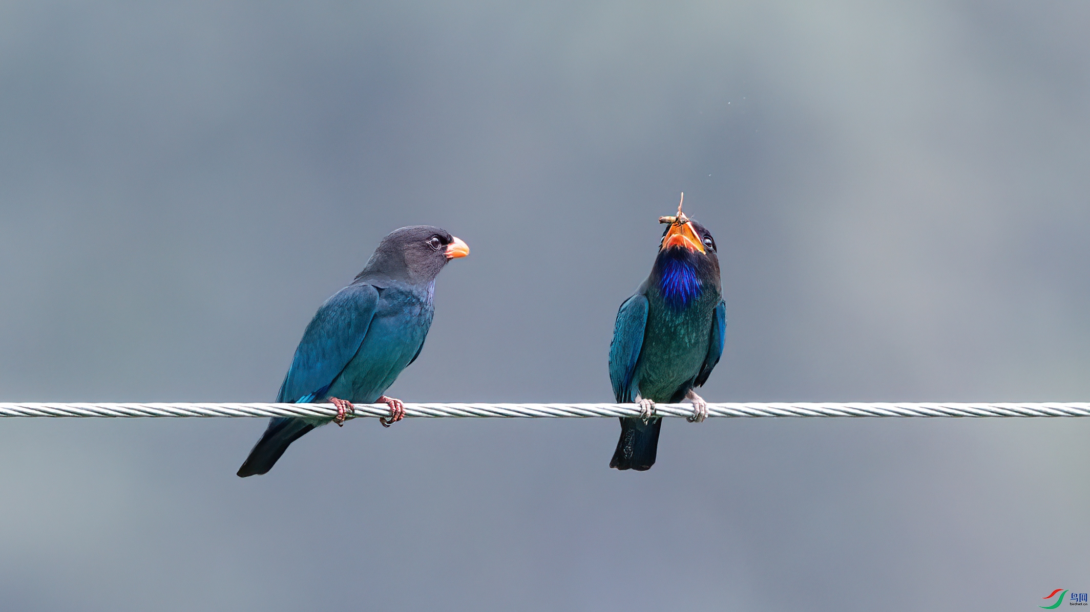 274A8839 ����.jpg