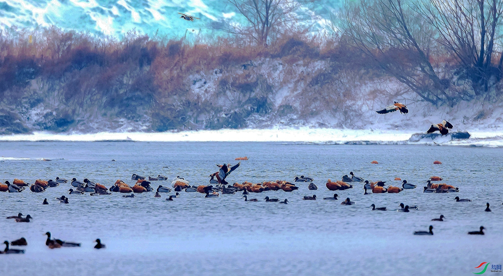 ����Ѽ��ˮ��