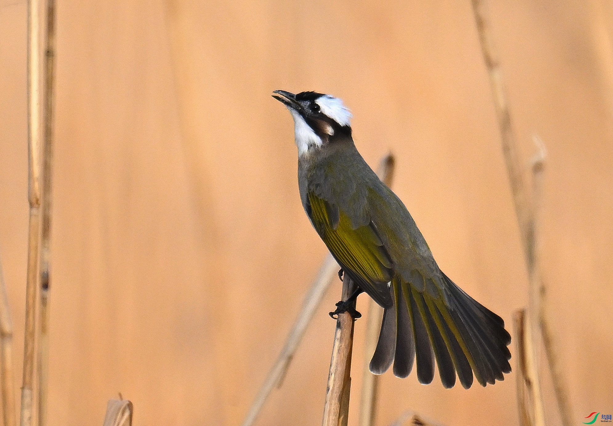 DSC_3039.JPG