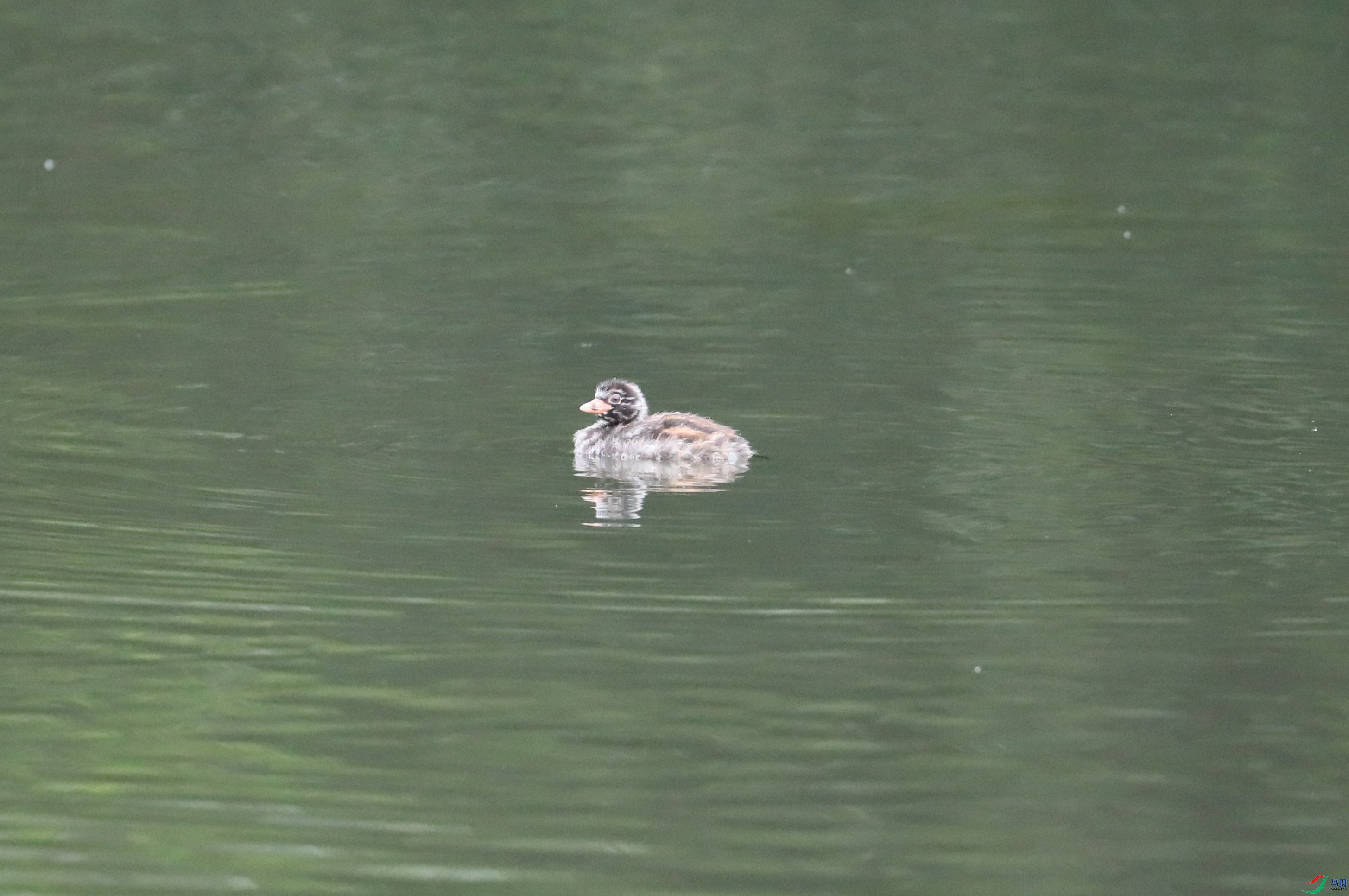 BL7A7302.JPG
