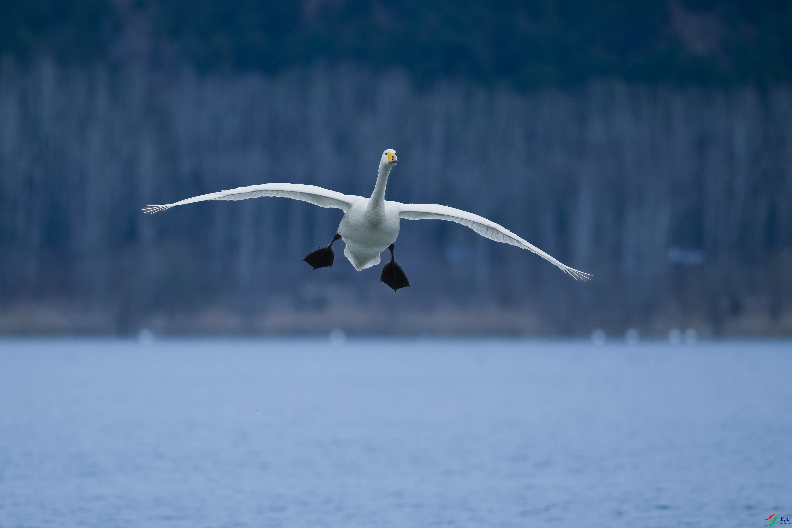 _DSC6038x.jpg
