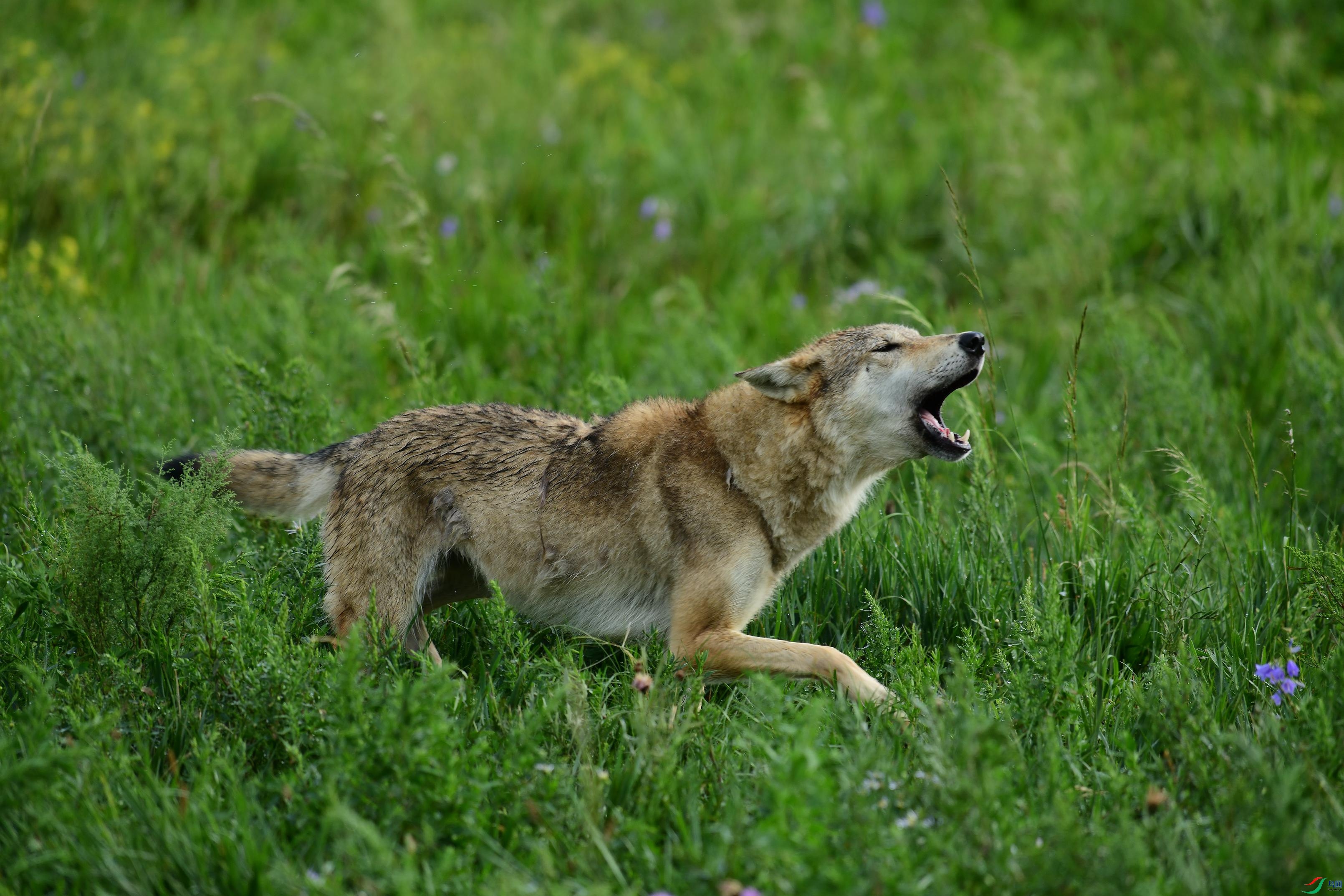 DSC_1506.JPG